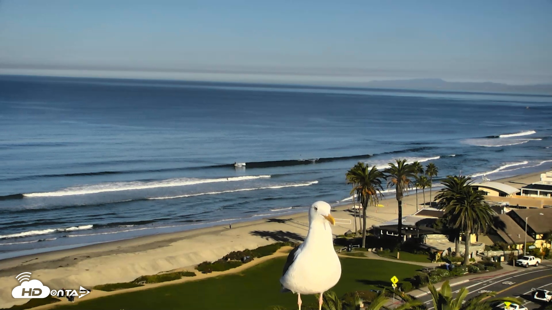 Snapshot of Del Mar Beach Overlook Roaming Live Webcam taken Oct 30, 2025, 8:59am PDT