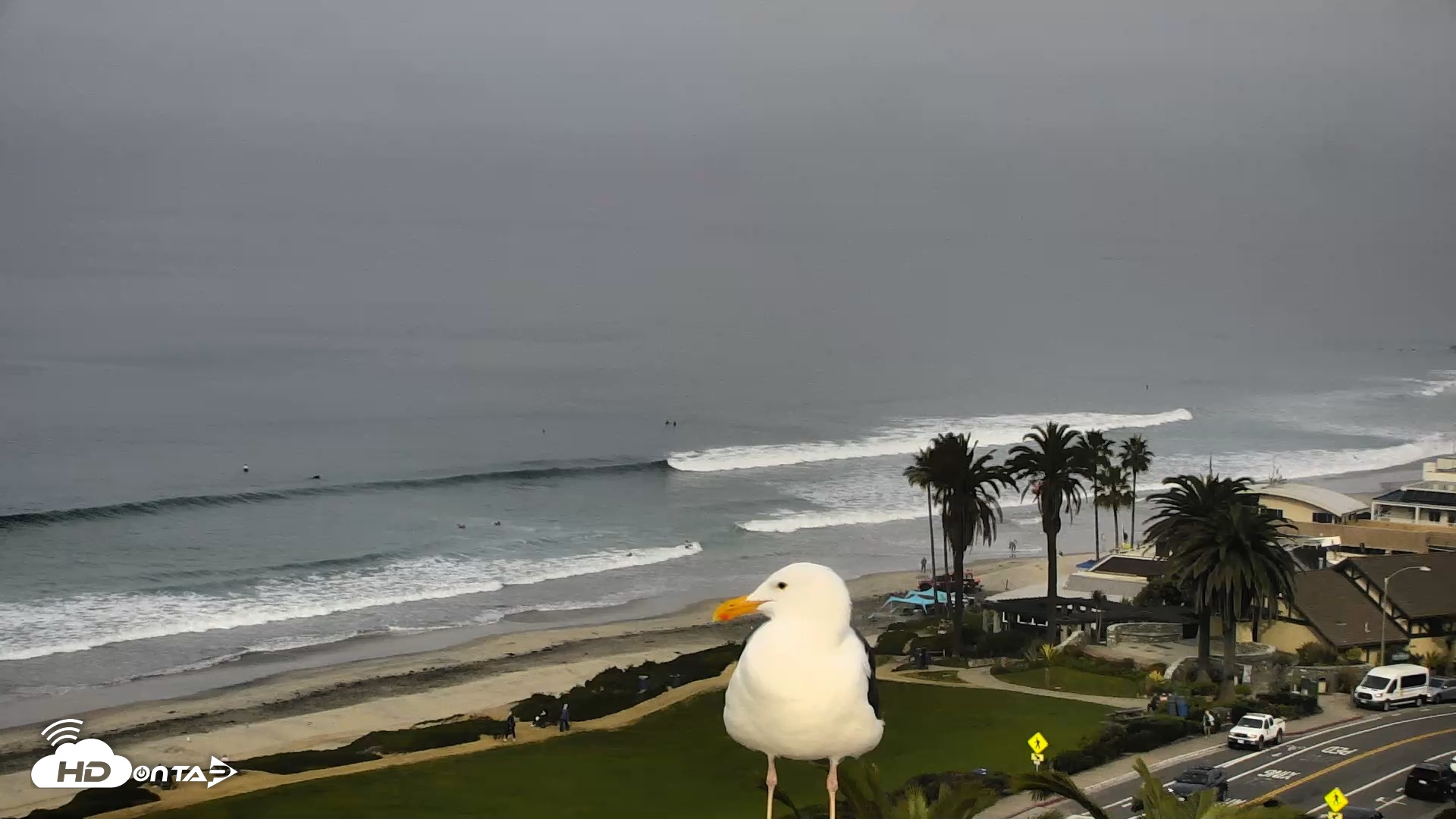 Snapshot of Del Mar Beach Overlook Roaming Live Webcam taken Jan 21, 2026, 10:18am PST