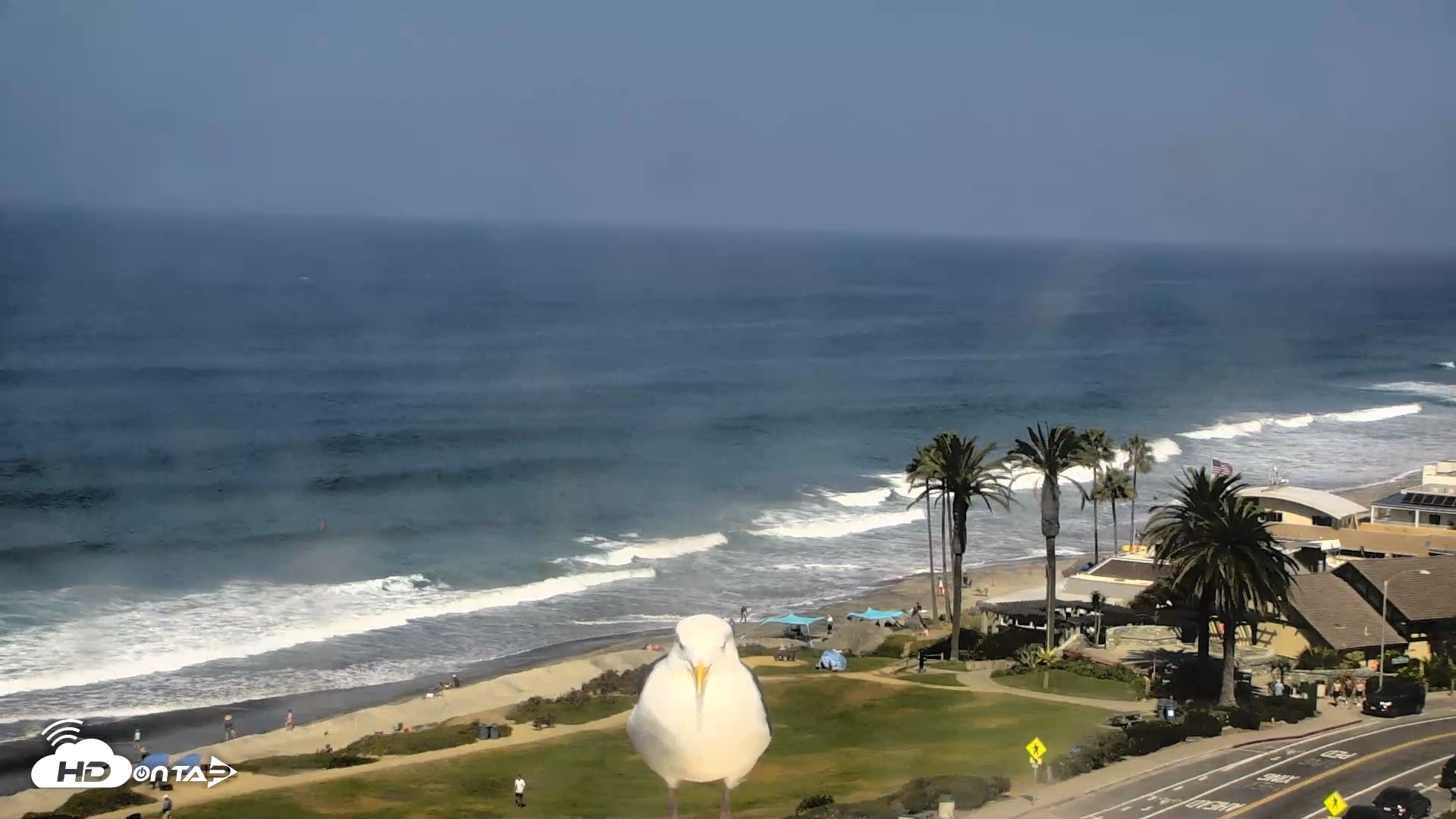 Snapshot of Del Mar Beach Overlook Roaming Live Webcam taken Sep 30, 2026, 11:16am PDT