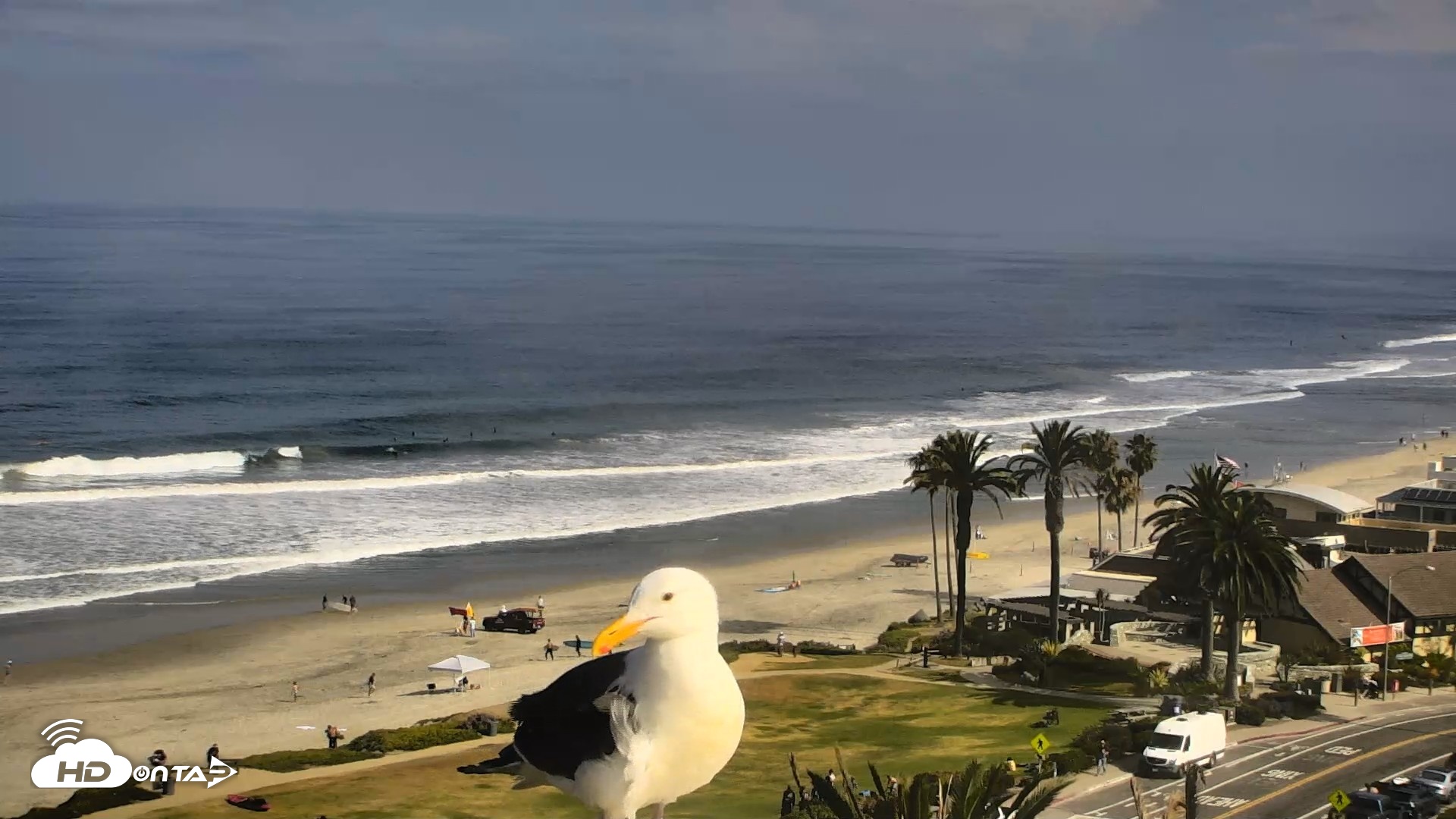 Snapshot of Del Mar Beach Overlook Roaming Live Webcam taken Jun 8, 2026, 9:07am PDT