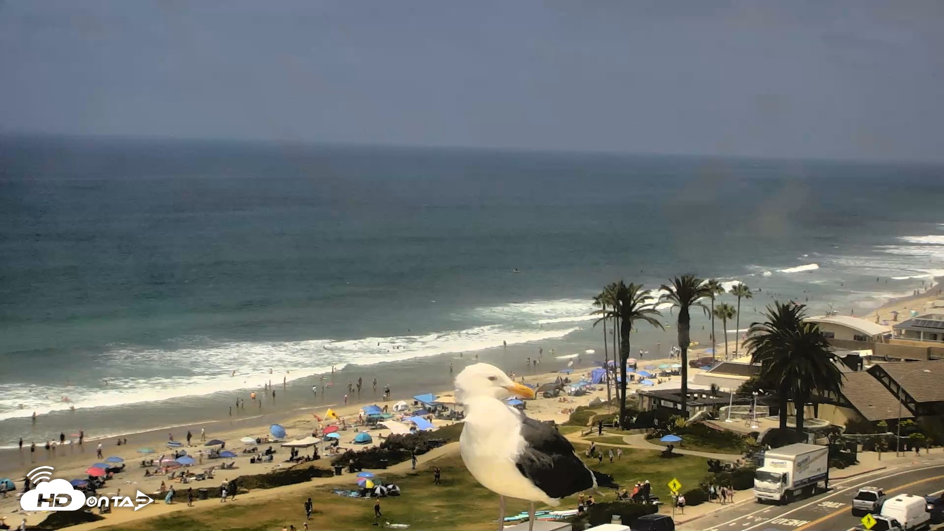 Snapshot of Del Mar Beach Overlook Roaming Live Webcam taken Jul 31, 2026, 12:57pm PDT