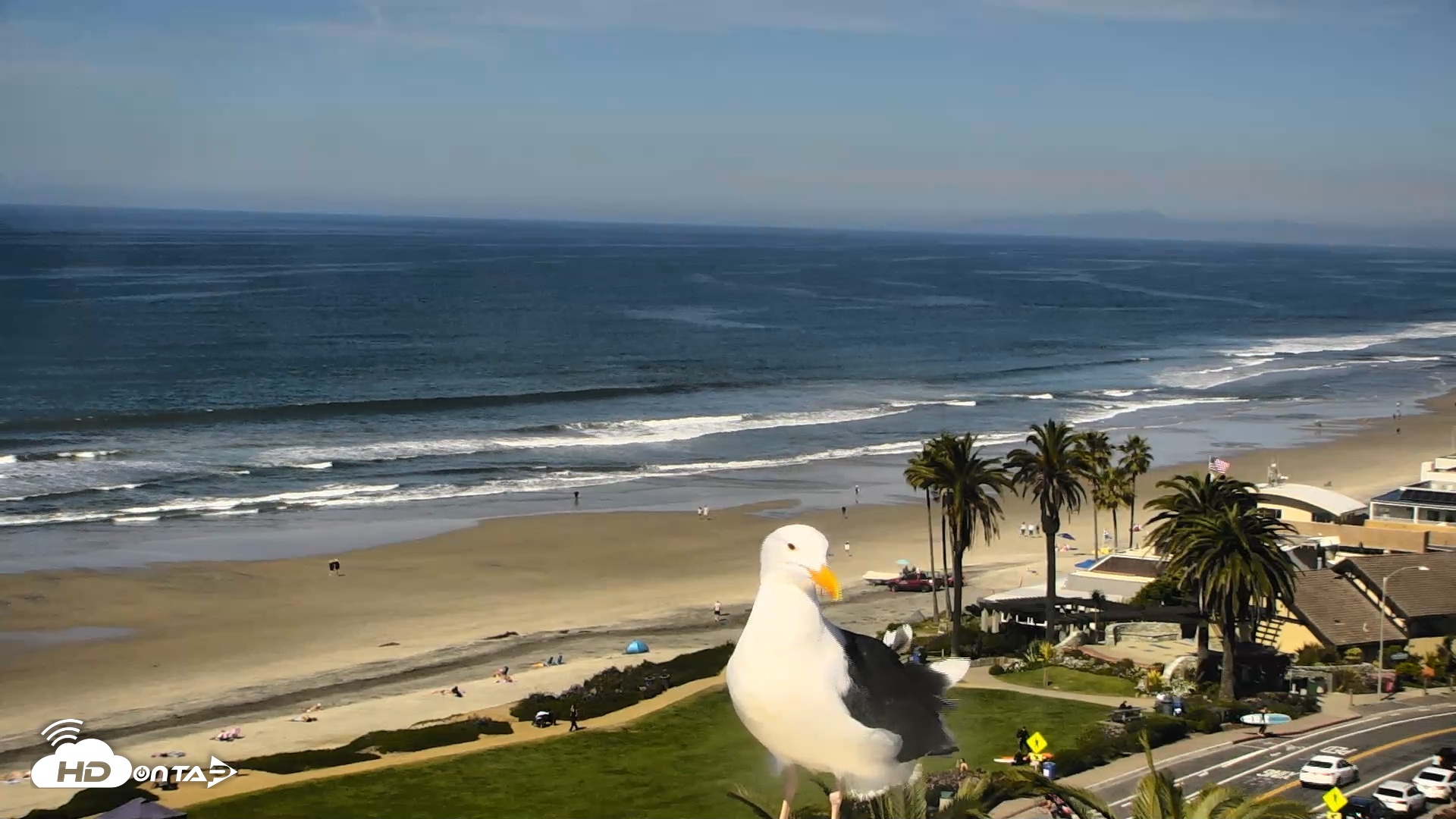 Snapshot of Del Mar Beach Overlook Roaming Live Webcam taken Feb 26, 2026, 11:43am PST