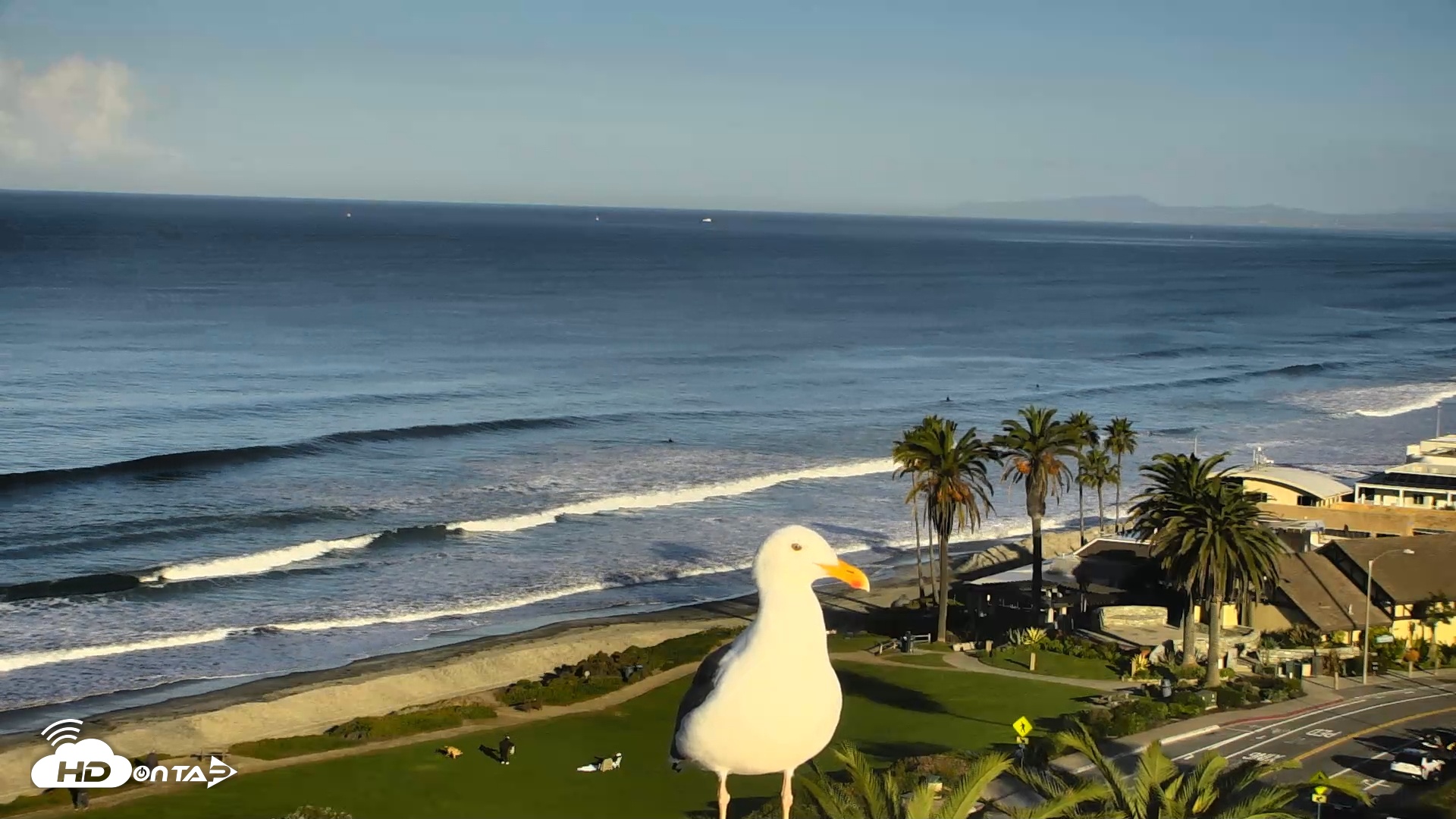 Snapshot of Del Mar Beach Overlook Roaming Live Webcam taken Nov 19, 2025, 7:54am PST