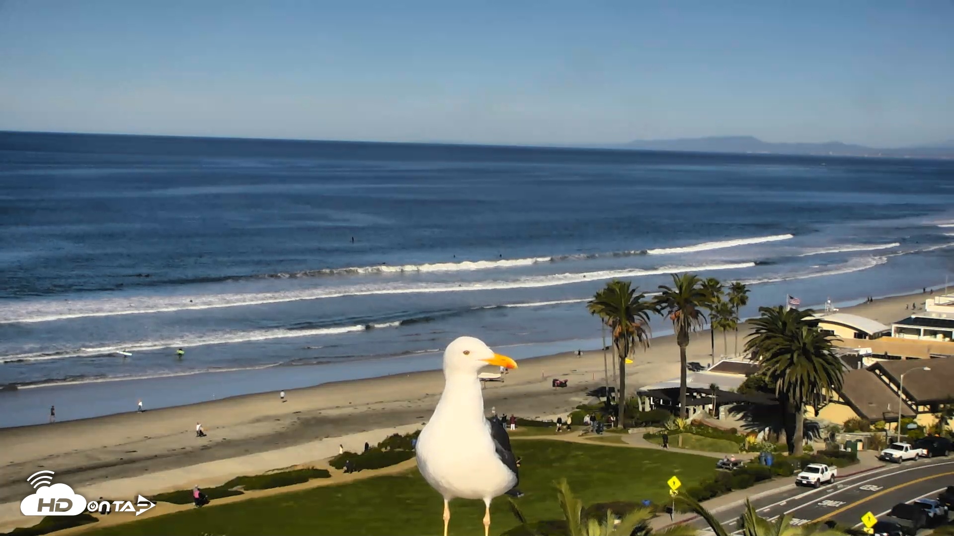 Snapshot of Del Mar Beach Overlook Roaming Live Webcam taken Jan 10, 2026, 10:03am PST