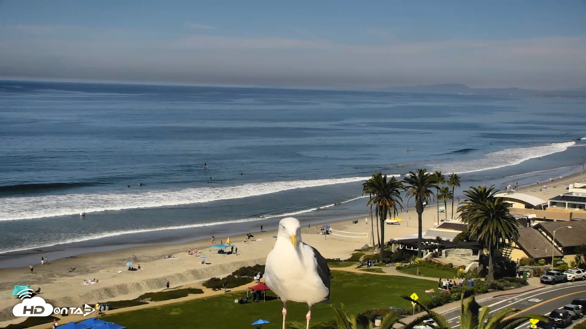 Snapshot of Del Mar Beach Overlook Roaming Live Webcam taken Oct 19, 2025, 12:06pm PDT
