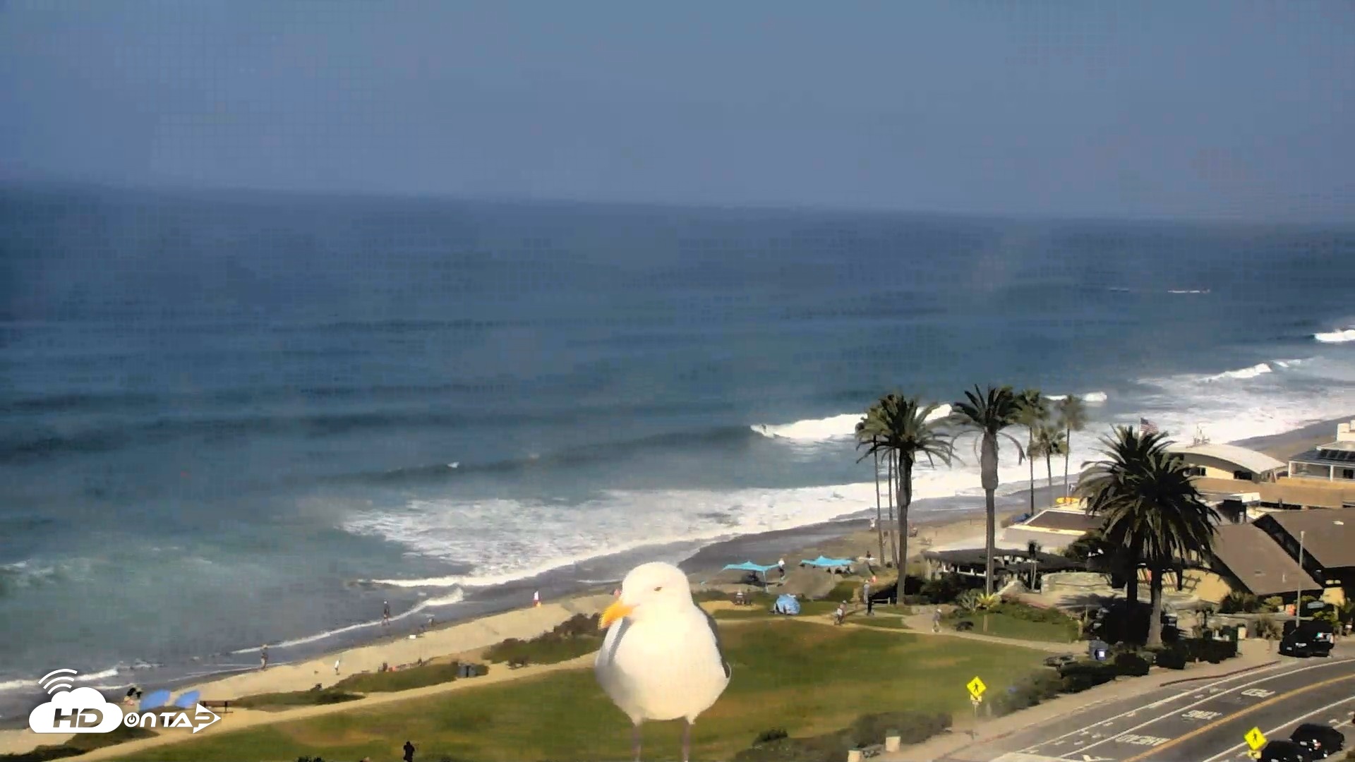 Snapshot of Del Mar Beach Overlook Roaming Live Webcam taken Sep 30, 2026, 11:17am PDT