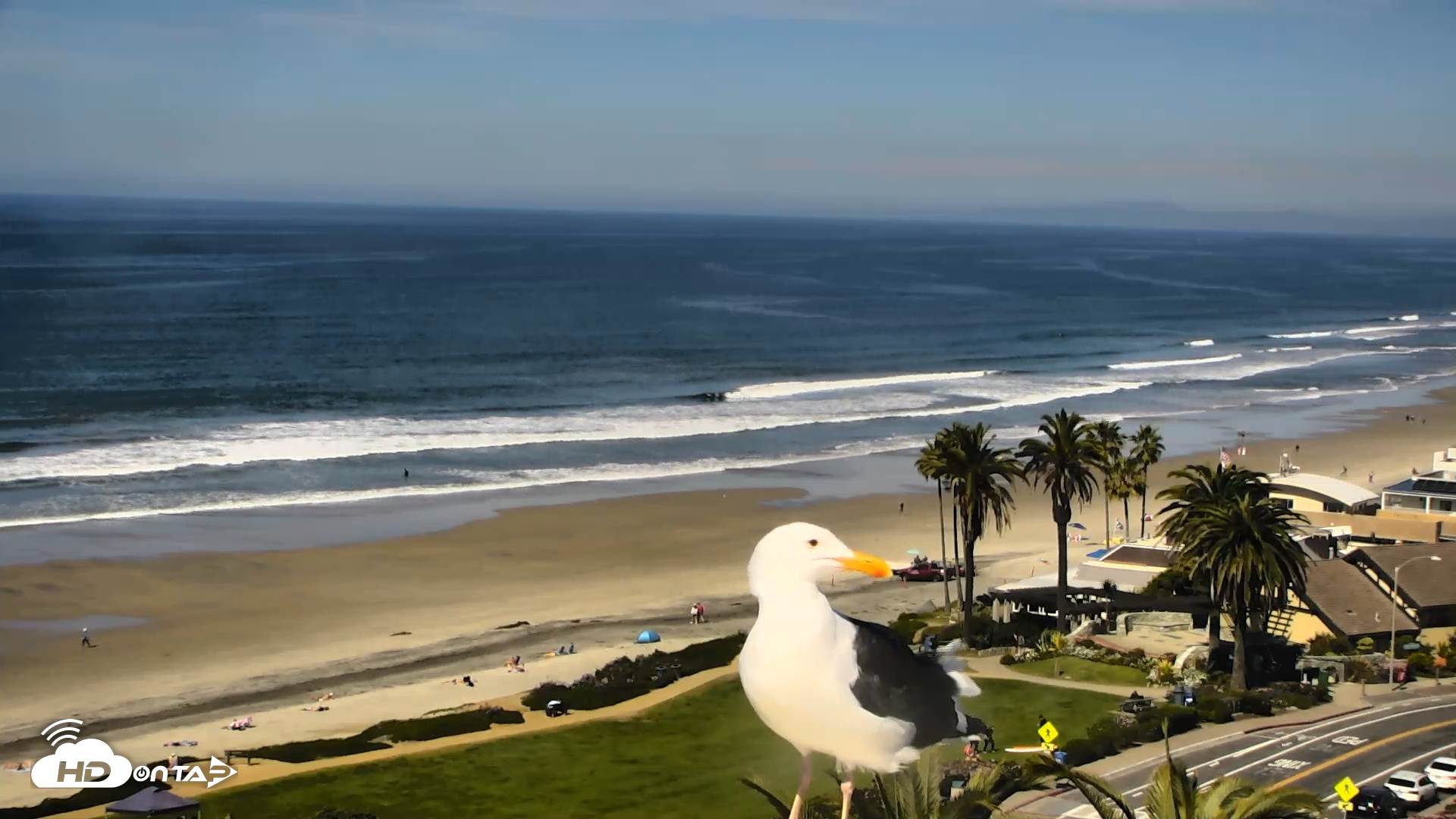Snapshot of Del Mar Beach Overlook Roaming Live Webcam taken Feb 26, 2026, 11:41am PST