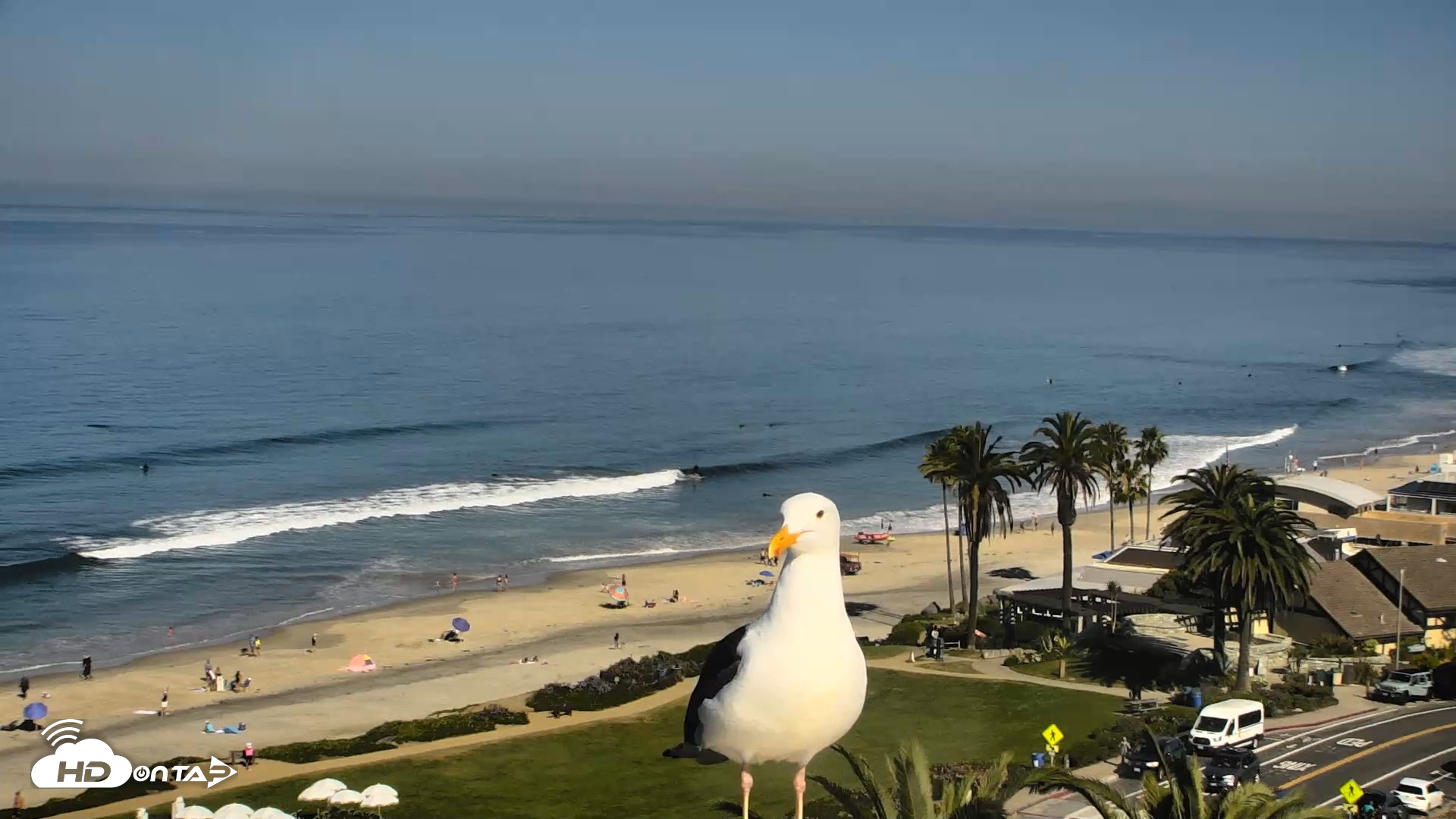 Snapshot of Del Mar Beach Overlook Roaming Live Webcam taken Mar 20, 2026, 10:14am PDT