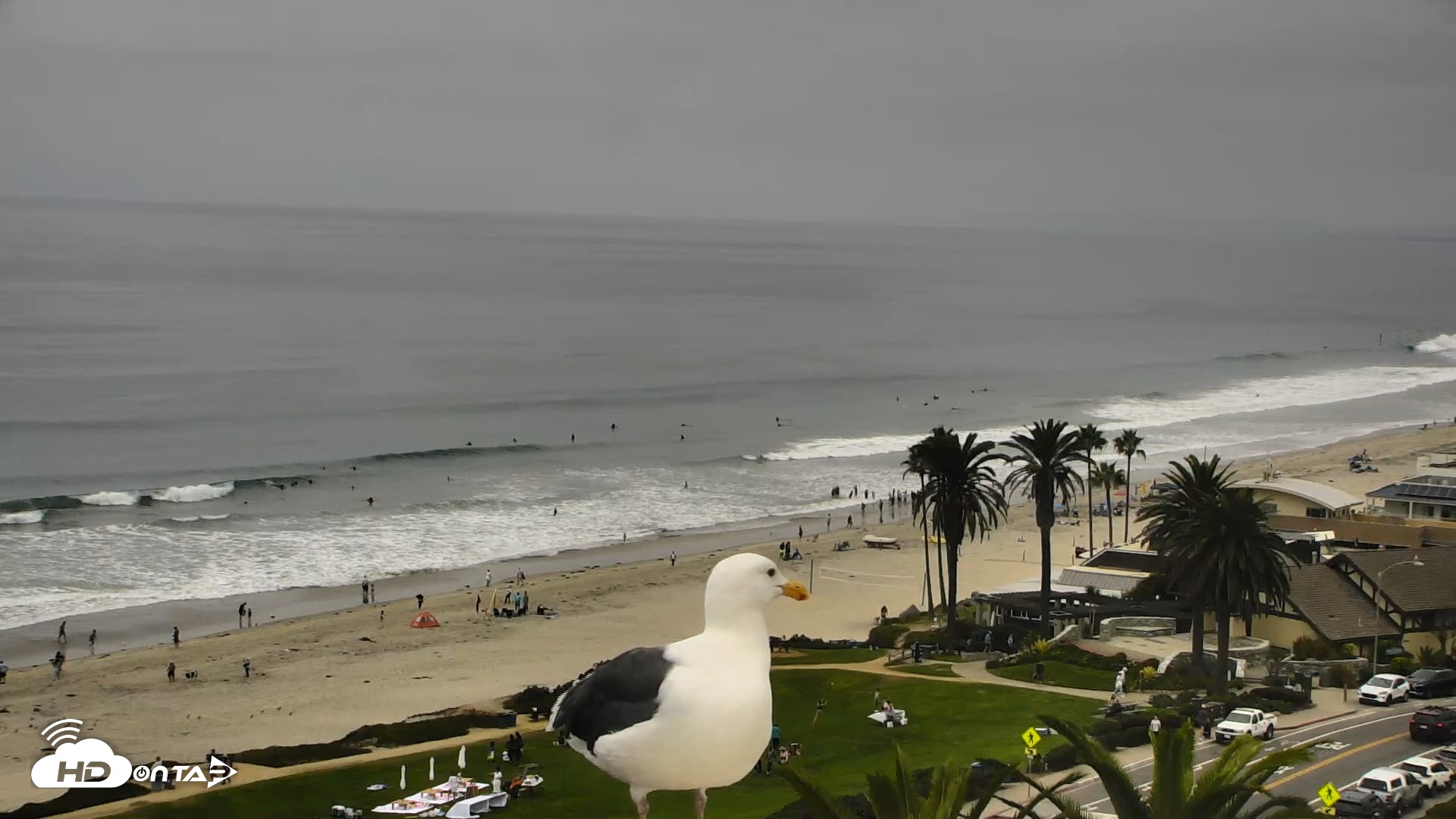 Snapshot of Del Mar Beach Overlook Roaming Live Webcam taken Sep 13, 2025, 10:28am PDT