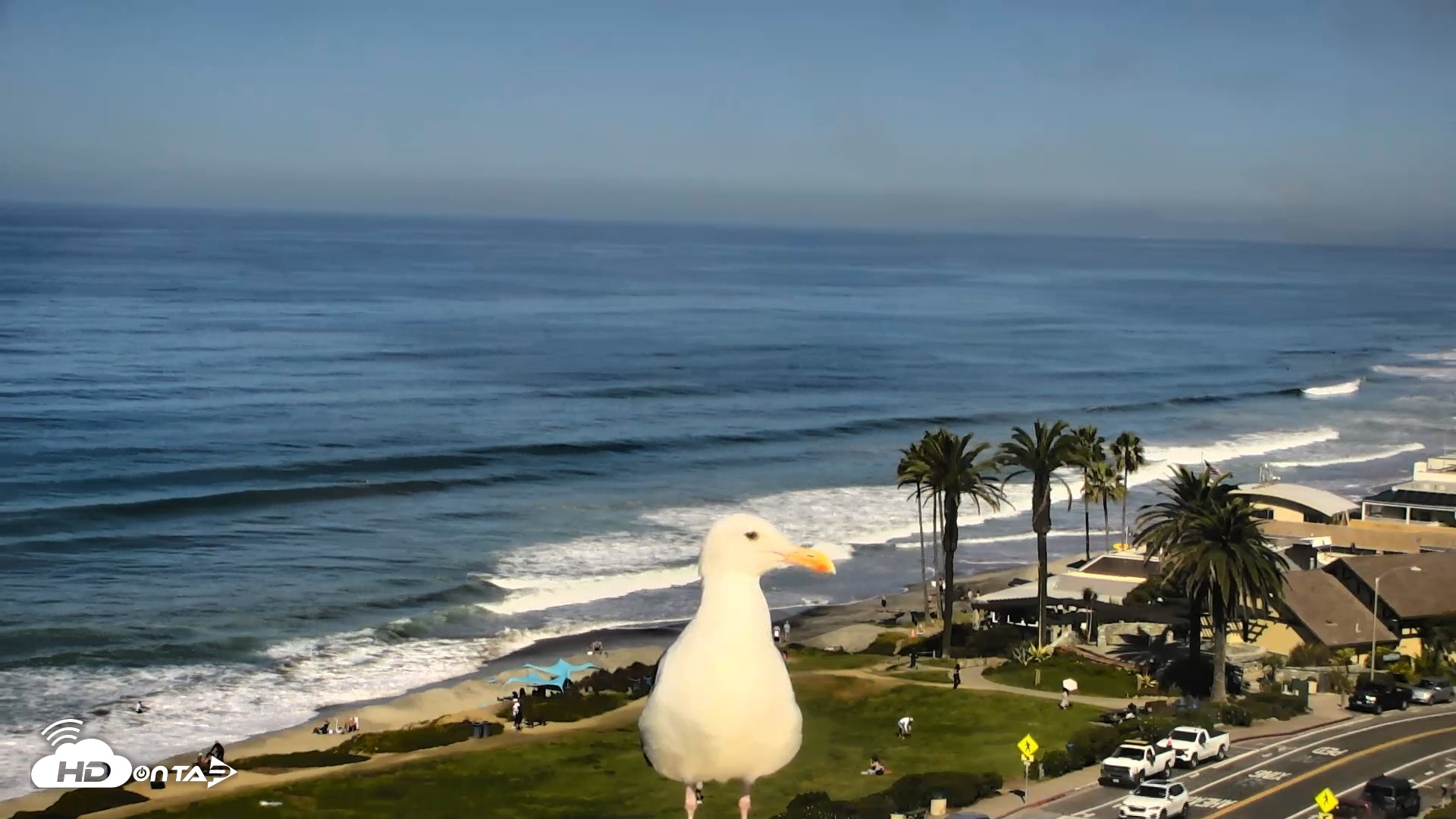 Snapshot of Del Mar Beach Overlook Roaming Live Webcam taken Oct 14, 2026, 10:57am PDT