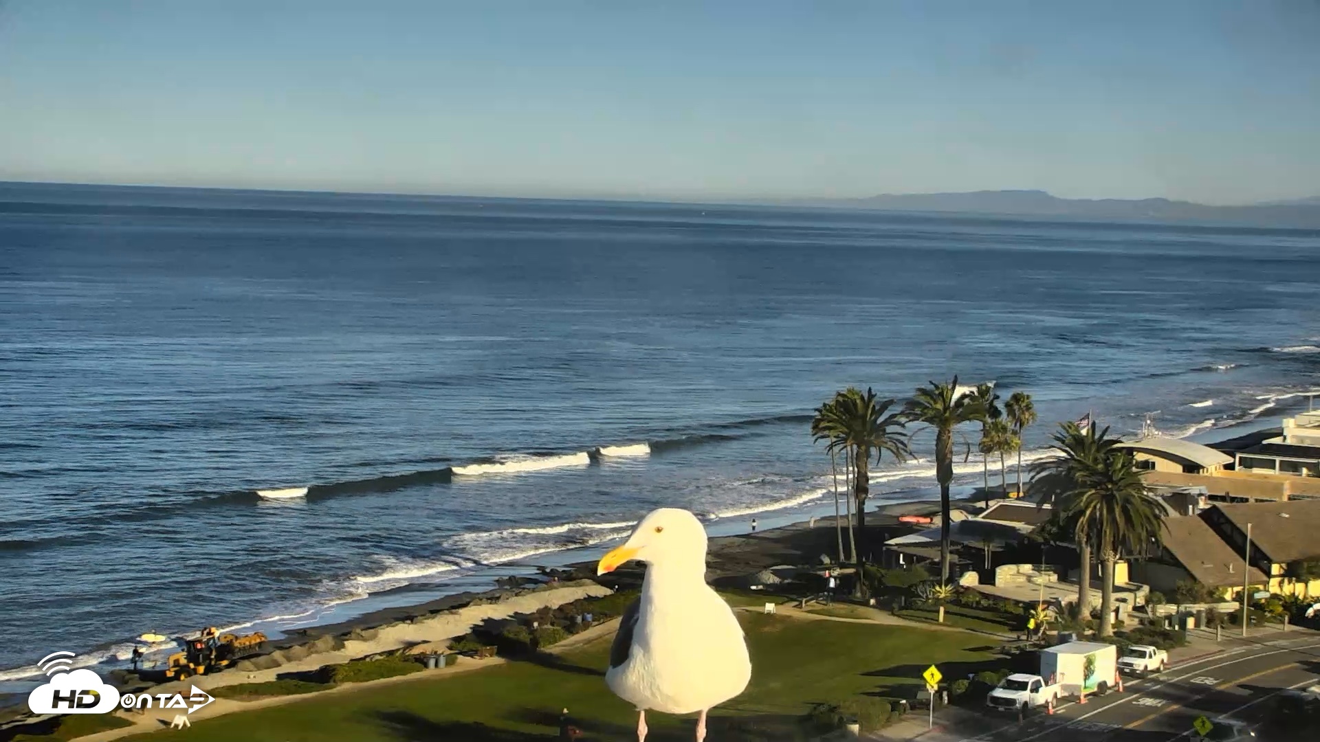 Snapshot of Del Mar Beach Overlook Roaming Live Webcam taken Oct 15, 2026, 8:13am PDT