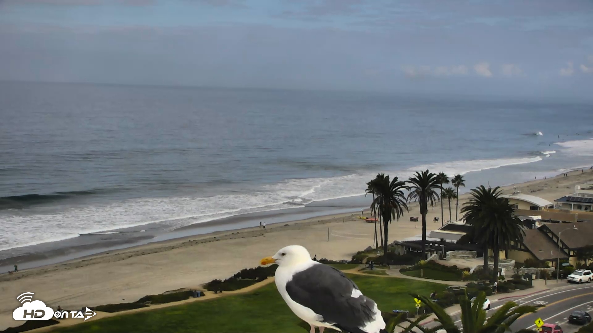 Snapshot of Del Mar Beach Overlook Roaming Live Webcam taken Sep 30, 2025, 9:10am PDT