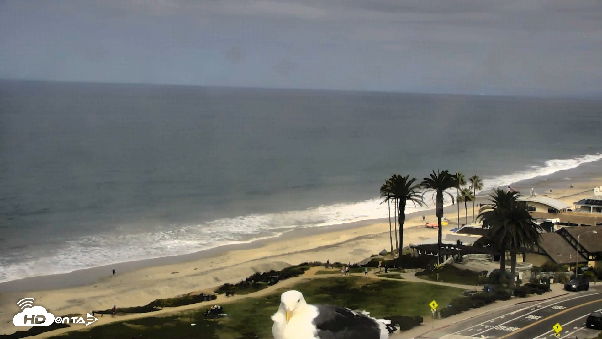 Snapshot of Del Mar Beach Overlook Roaming Live Webcam taken Sep 21, 2026, 10:20am PDT