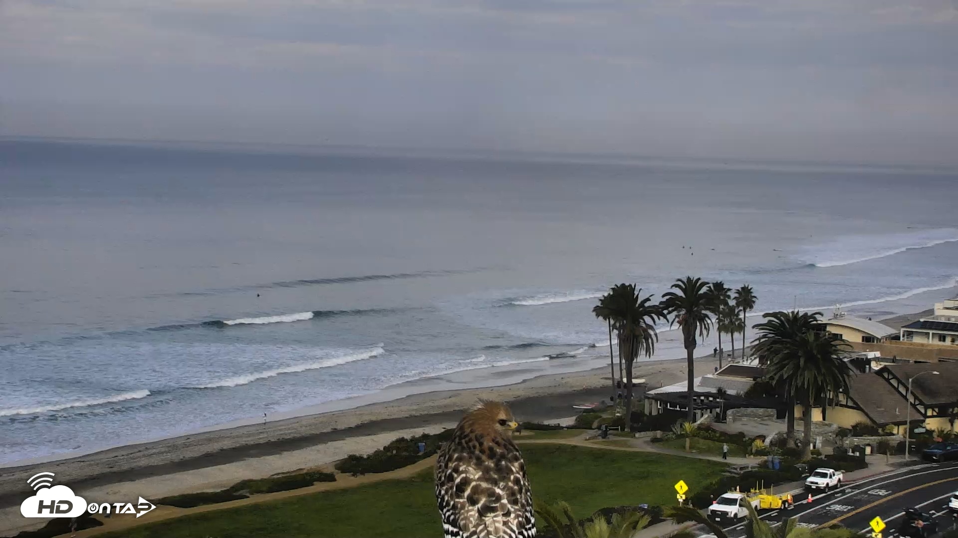 Snapshot of Del Mar Beach Overlook Roaming Live Webcam taken Jan 22, 2026, 9:11am PST