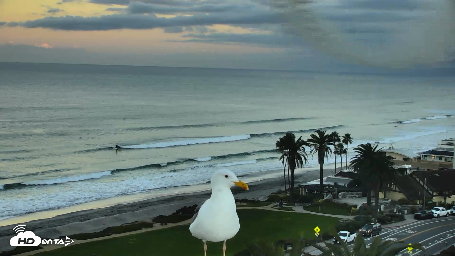 Snapshot of Del Mar Beach Overlook Roaming Live Webcam taken Nov 20, 2025, 6:33am PST