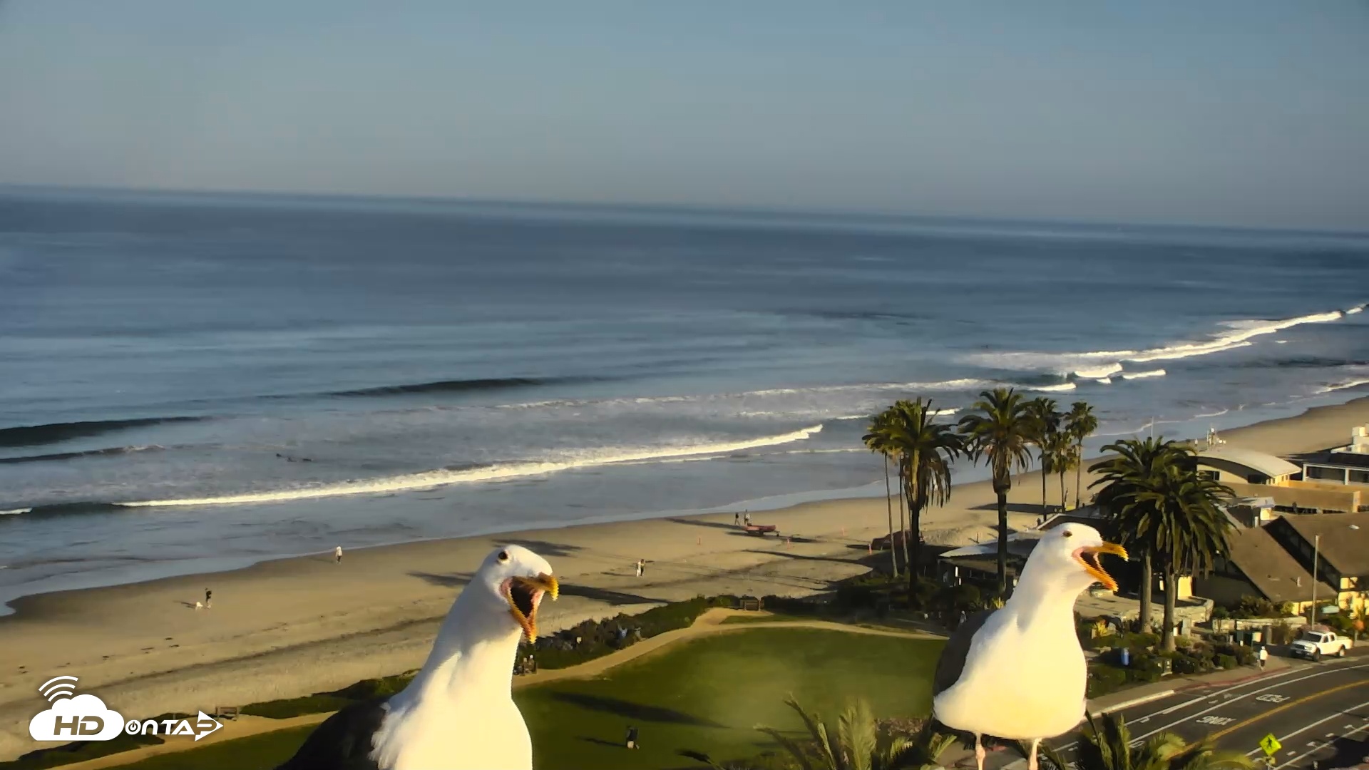 Snapshot of Del Mar Beach Overlook Roaming Live Webcam taken Mar 11, 2026, 8:36am PDT