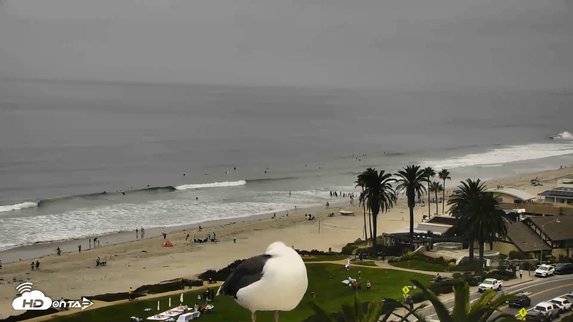 Snapshot of Del Mar Beach Overlook Roaming Live Webcam taken Sep 13, 2025, 10:27am PDT