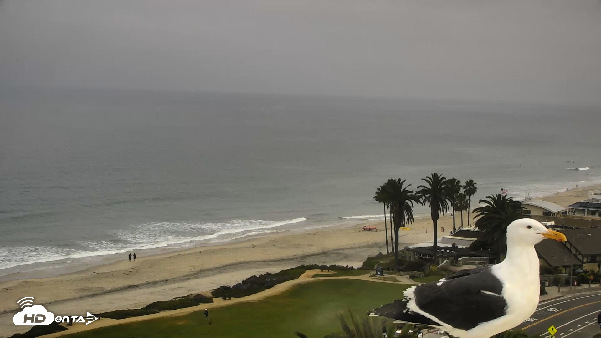 Snapshot of Del Mar Beach Overlook Roaming Live Webcam taken Mar 30, 2026, 9:13am PDT