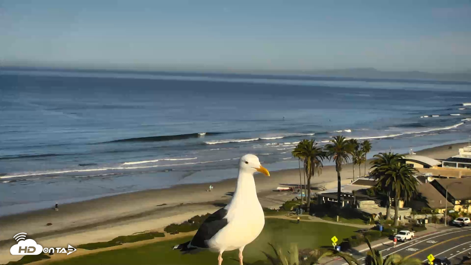 Snapshot of Del Mar Beach Overlook Roaming Live Webcam taken Feb 25, 2026, 8:29am PST