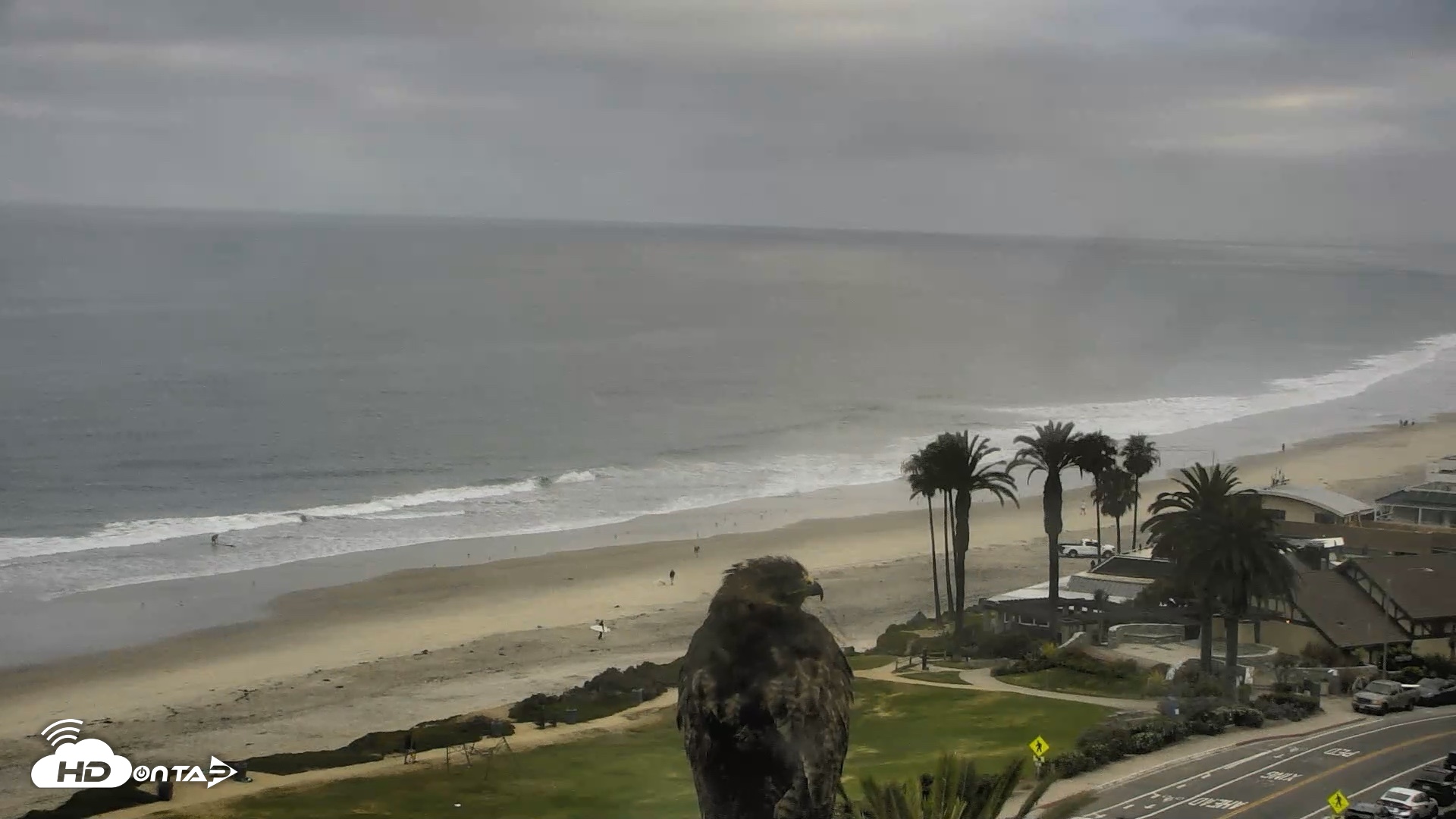 Snapshot of Del Mar Beach Overlook Roaming Live Webcam taken Jul 5, 2026, 6:41am PDT