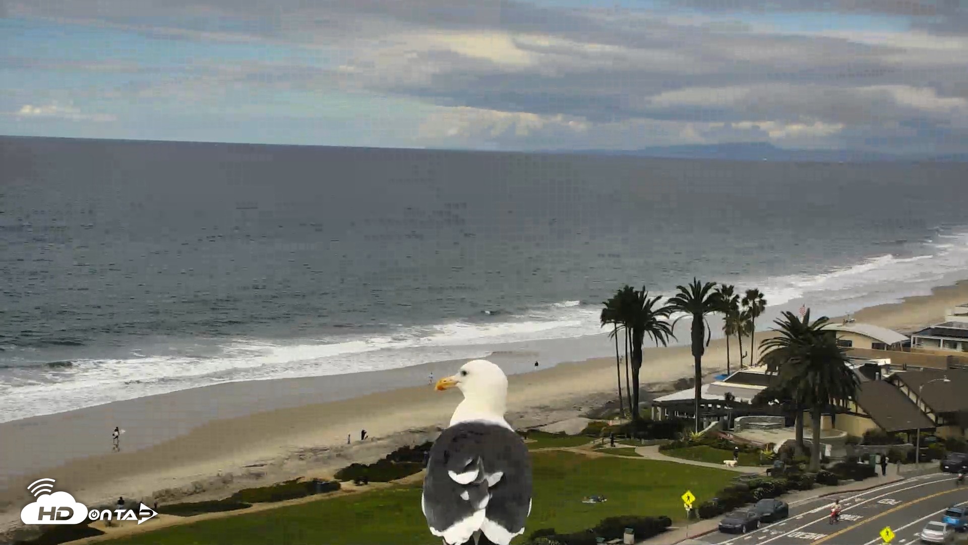 Snapshot of Del Mar Beach Overlook Roaming Live Webcam taken Oct 23, 2026, 2:43pm PDT