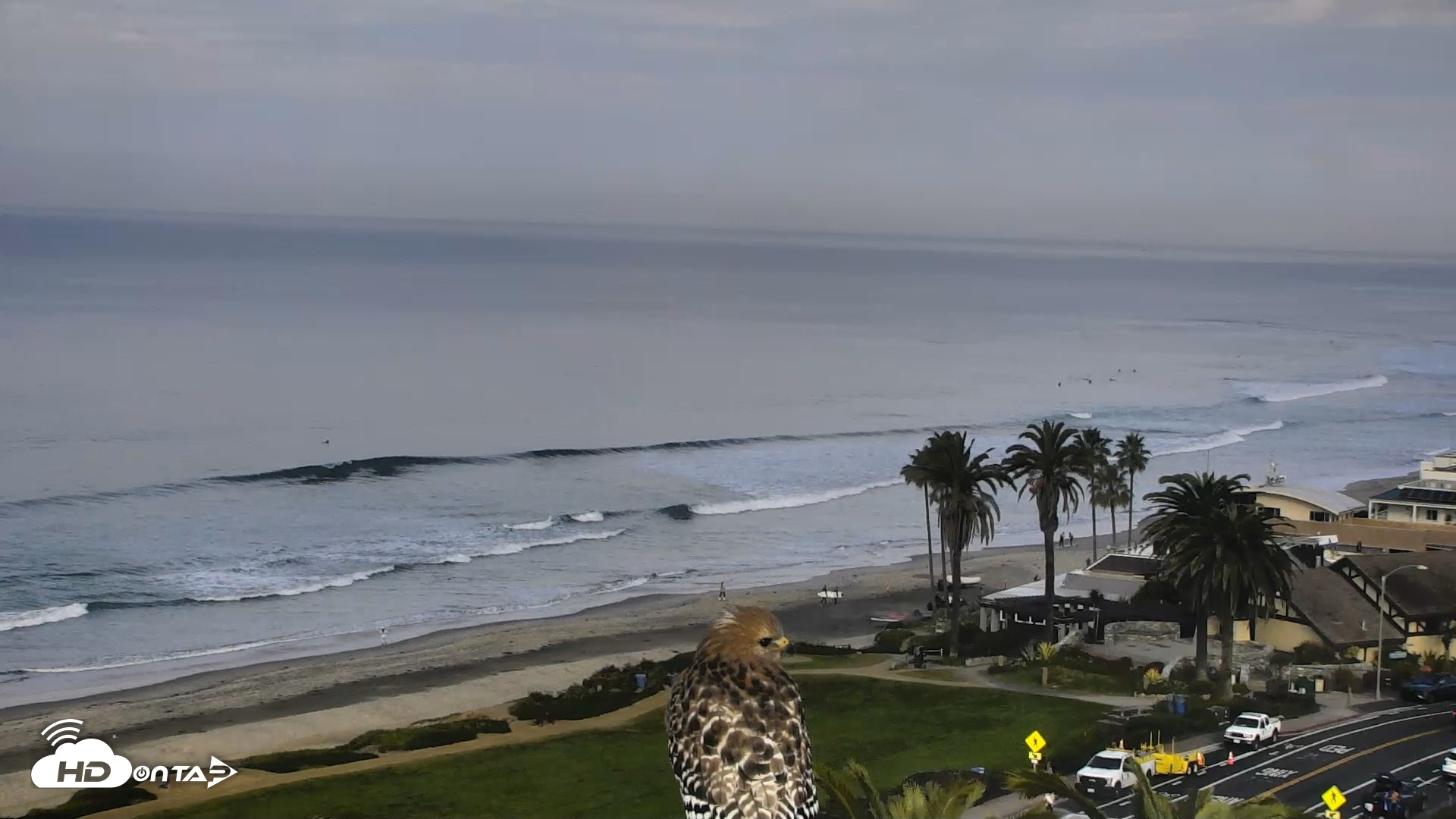 Snapshot of Del Mar Beach Overlook Roaming Live Webcam taken Jan 22, 2026, 9:08am PST