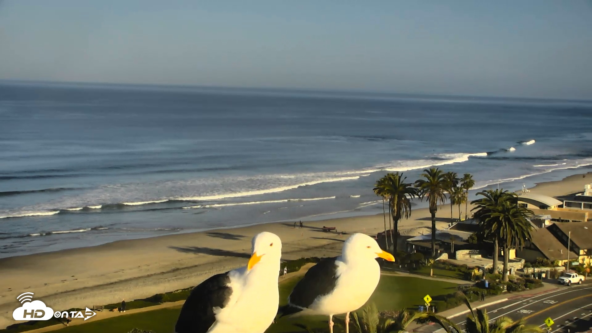 Snapshot of Del Mar Beach Overlook Roaming Live Webcam taken Mar 11, 2026, 8:33am PDT