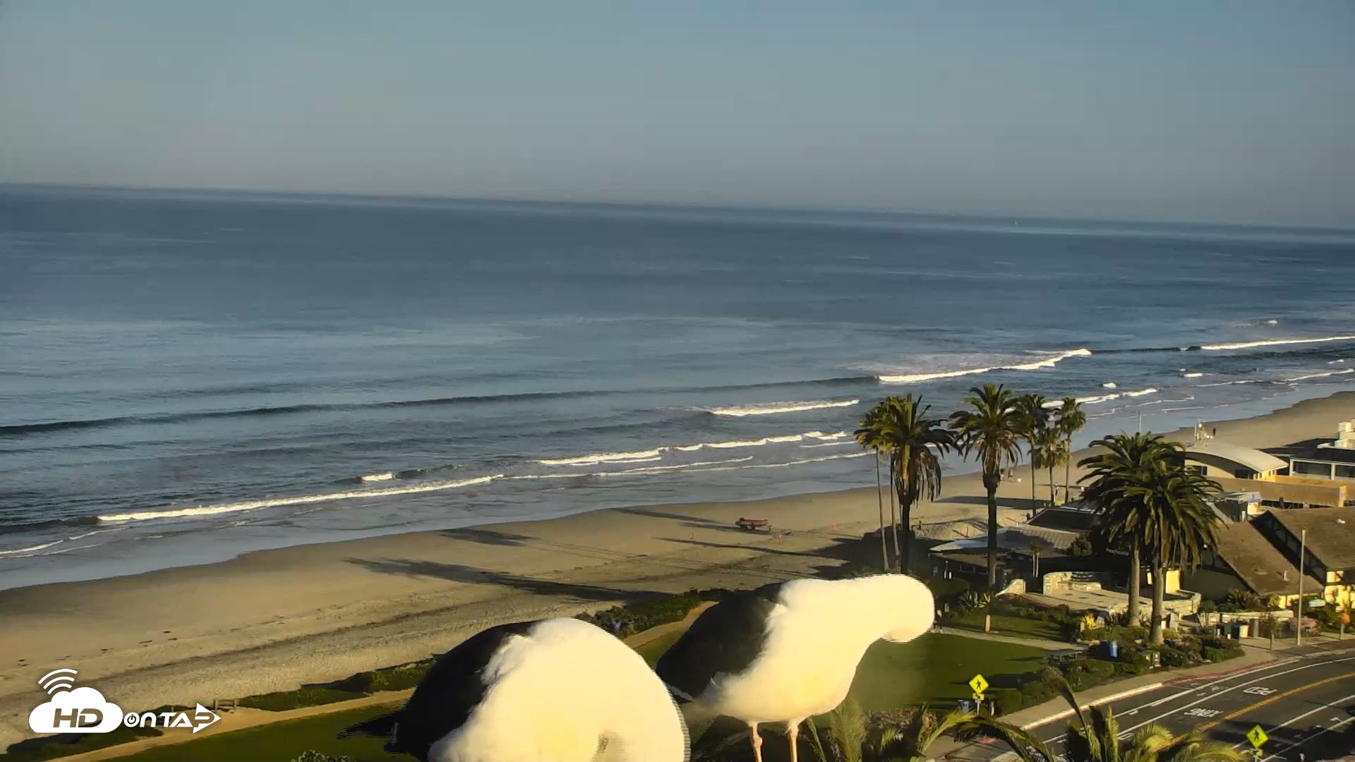 Snapshot of Del Mar Beach Overlook Roaming Live Webcam taken Mar 11, 2026, 8:27am PDT