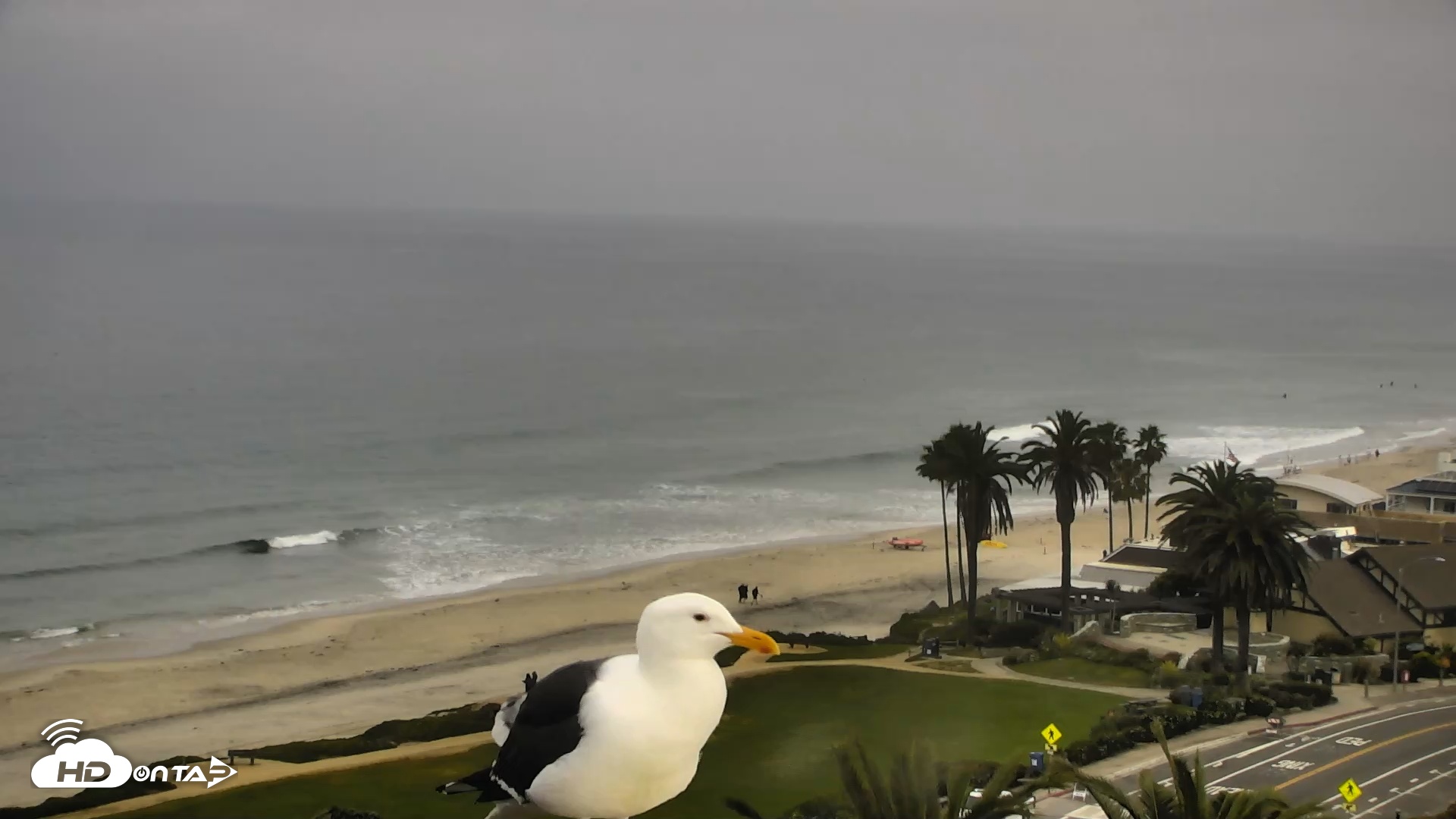 Snapshot of Del Mar Beach Overlook Roaming Live Webcam taken Mar 30, 2026, 9:12am PDT