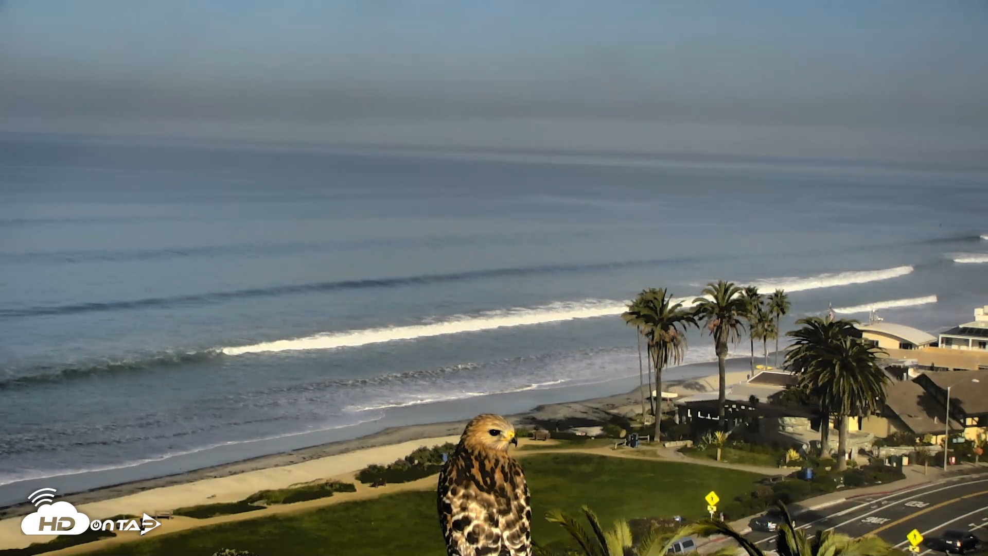 Snapshot of Del Mar Beach Overlook Roaming Live Webcam taken Feb 2, 2026, 8:56am PST