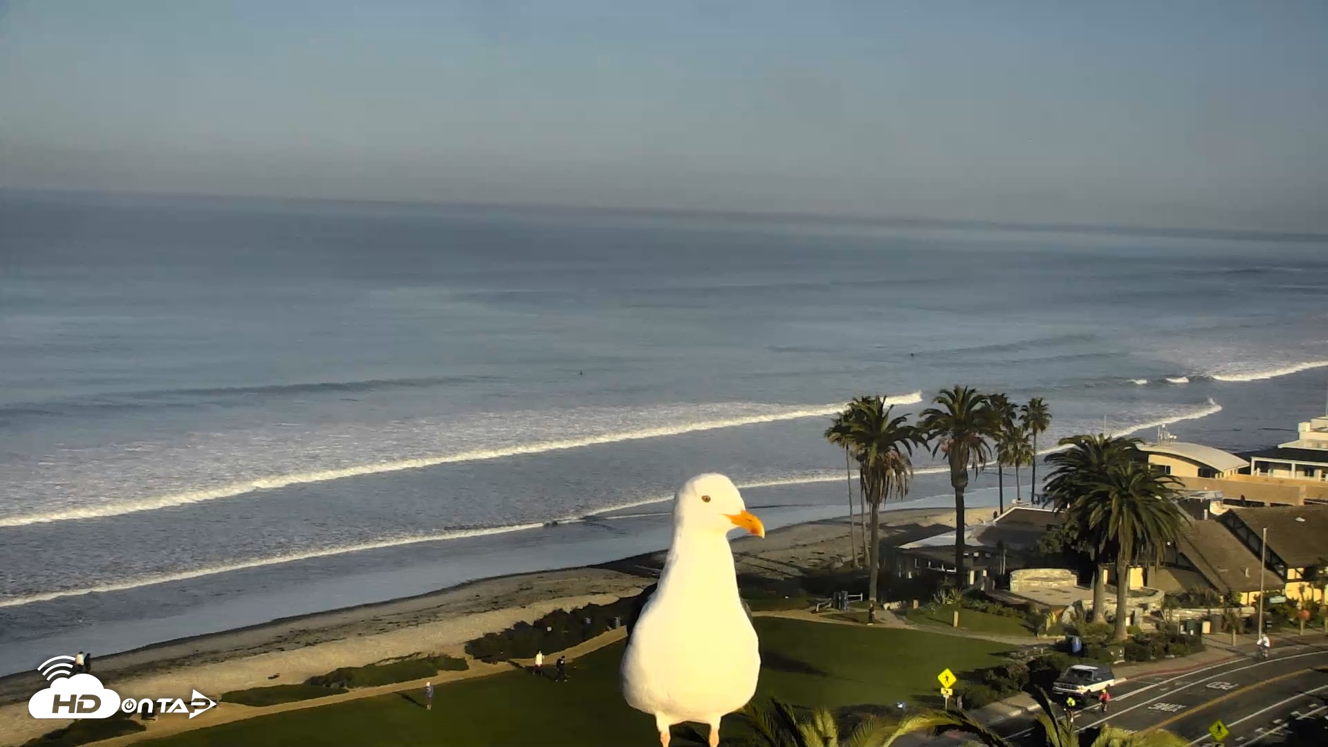 Snapshot of Del Mar Beach Overlook Roaming Live Webcam taken Feb 3, 2026, 8:12am PST