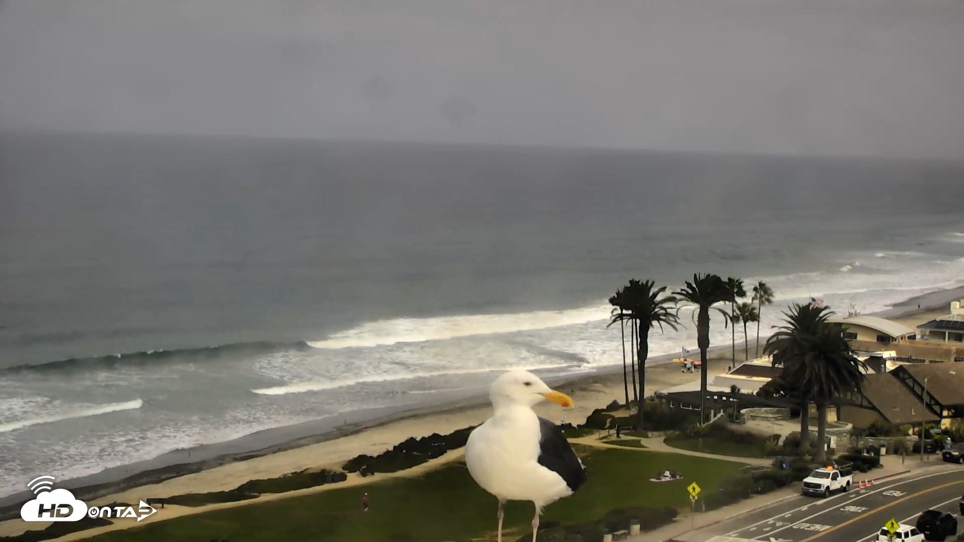 Snapshot of Del Mar Beach Overlook Roaming Live Webcam taken Sep 15, 2026, 9:49am PDT