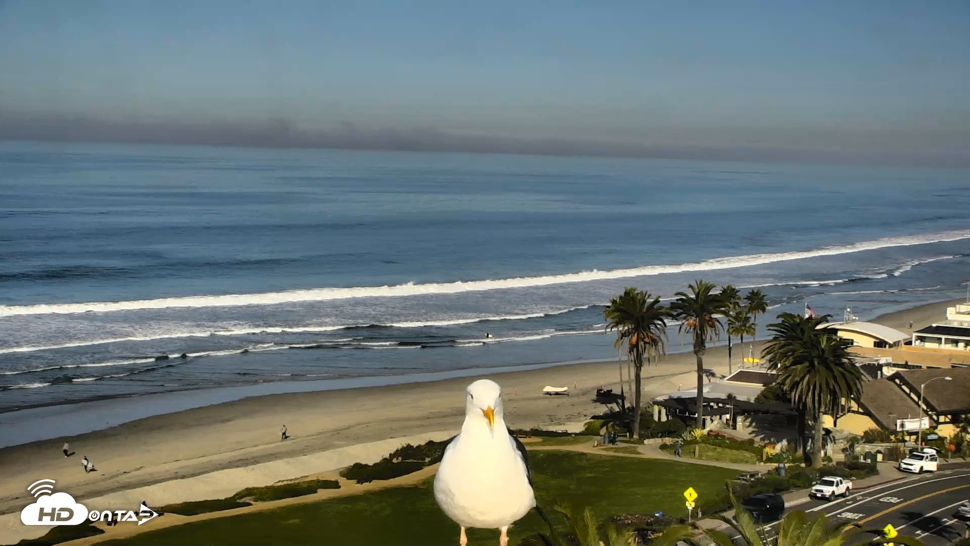 Snapshot of Del Mar Beach Overlook Roaming Live Webcam taken Dec 12, 2025, 9:37am PST