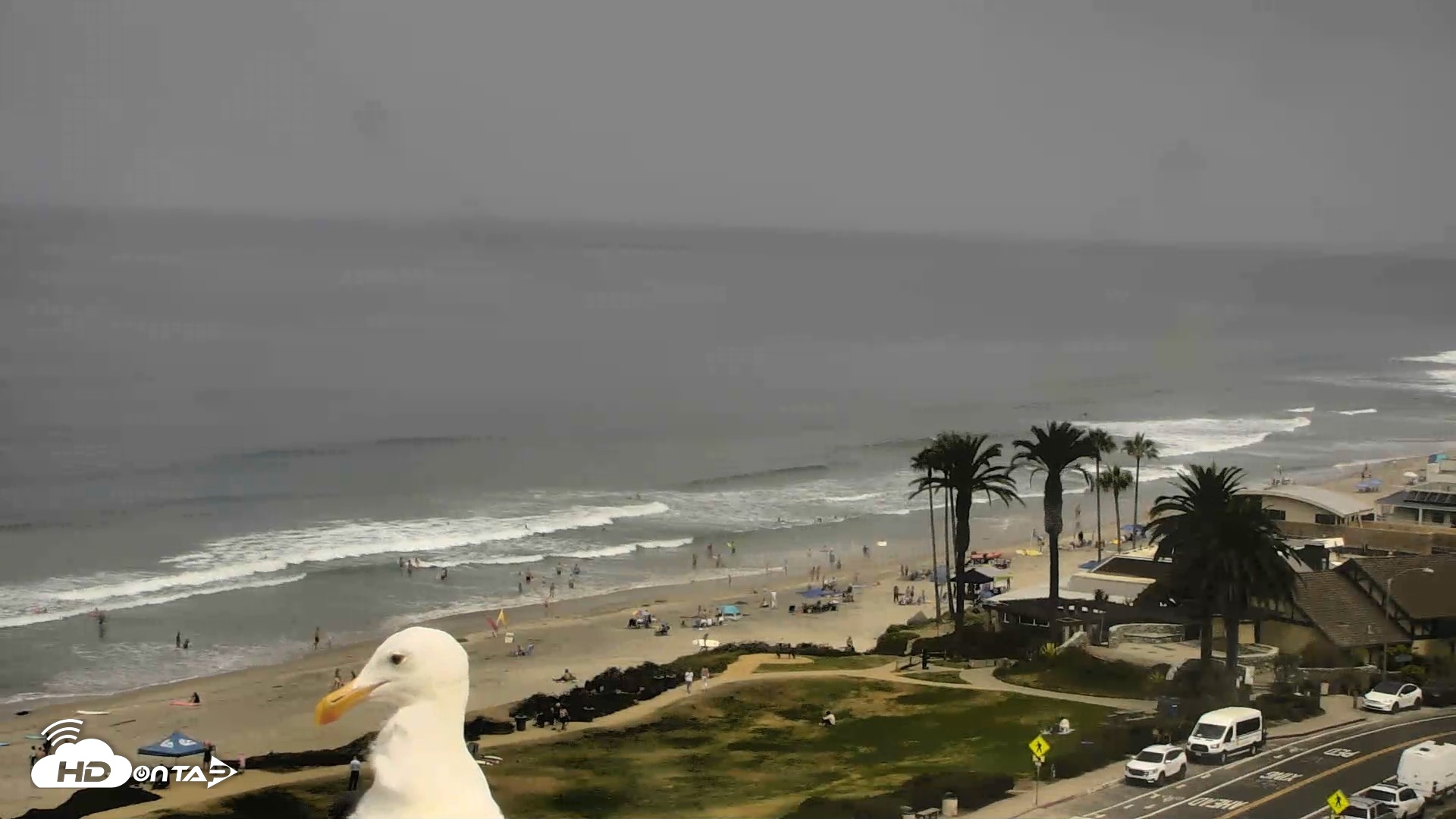 Snapshot of Del Mar Beach Overlook Roaming Live Webcam taken Aug 4, 2026, 11:16am PDT