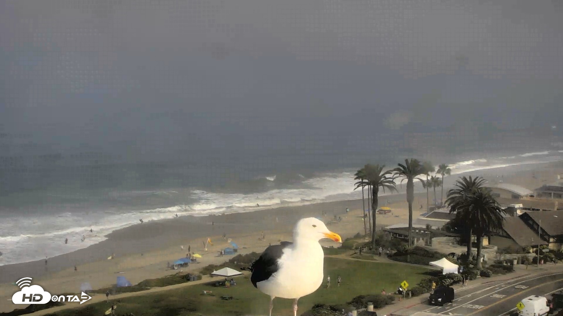 Snapshot of Del Mar Beach Overlook Roaming Live Webcam taken Aug 29, 2026, 9:21am PDT