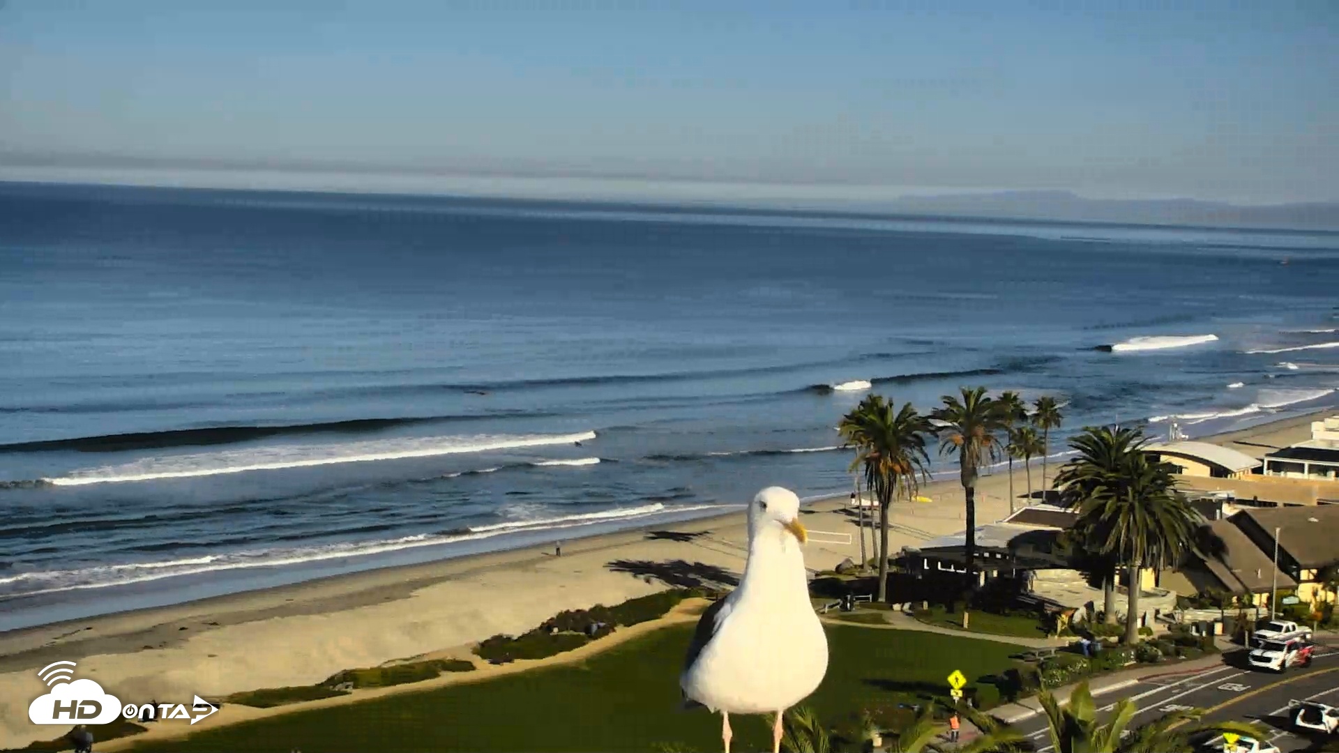 Snapshot of Del Mar Beach Overlook Roaming Live Webcam taken Oct 30, 2025, 8:59am PDT