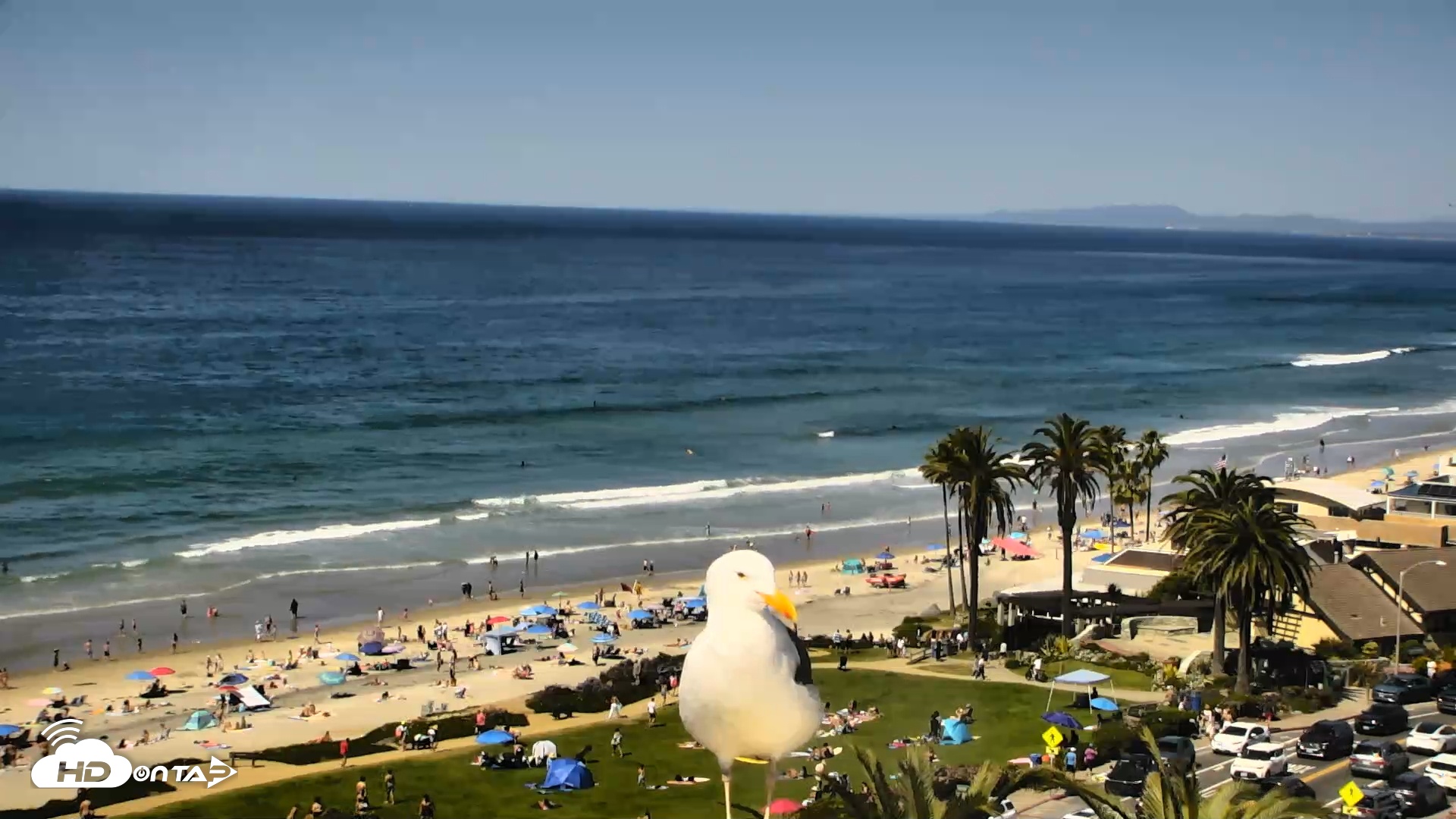 Snapshot of Del Mar Beach Overlook Roaming Live Webcam taken Mar 8, 2026, 1:11pm PDT