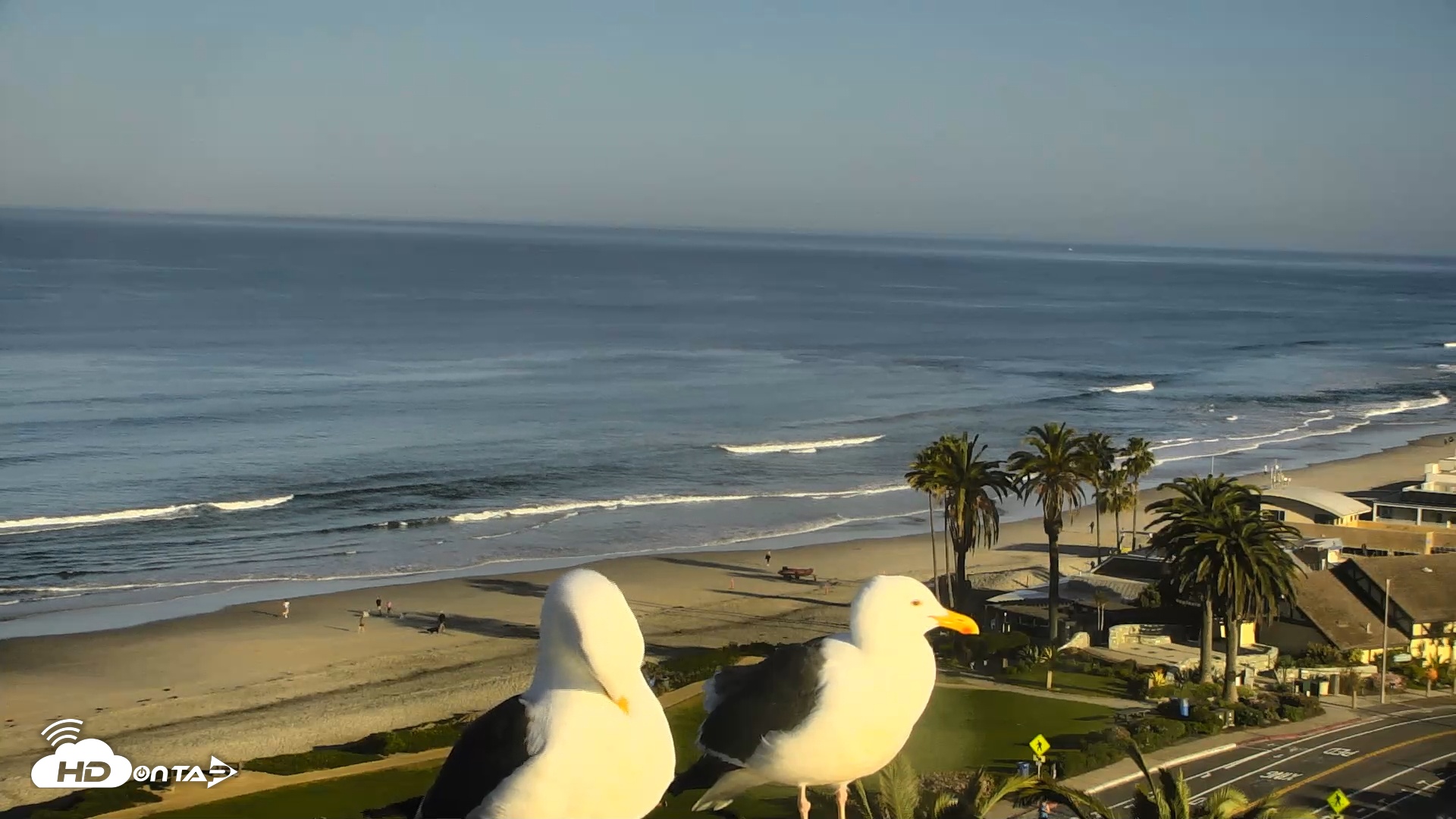 Snapshot of Del Mar Beach Overlook Roaming Live Webcam taken Mar 11, 2026, 8:29am PDT