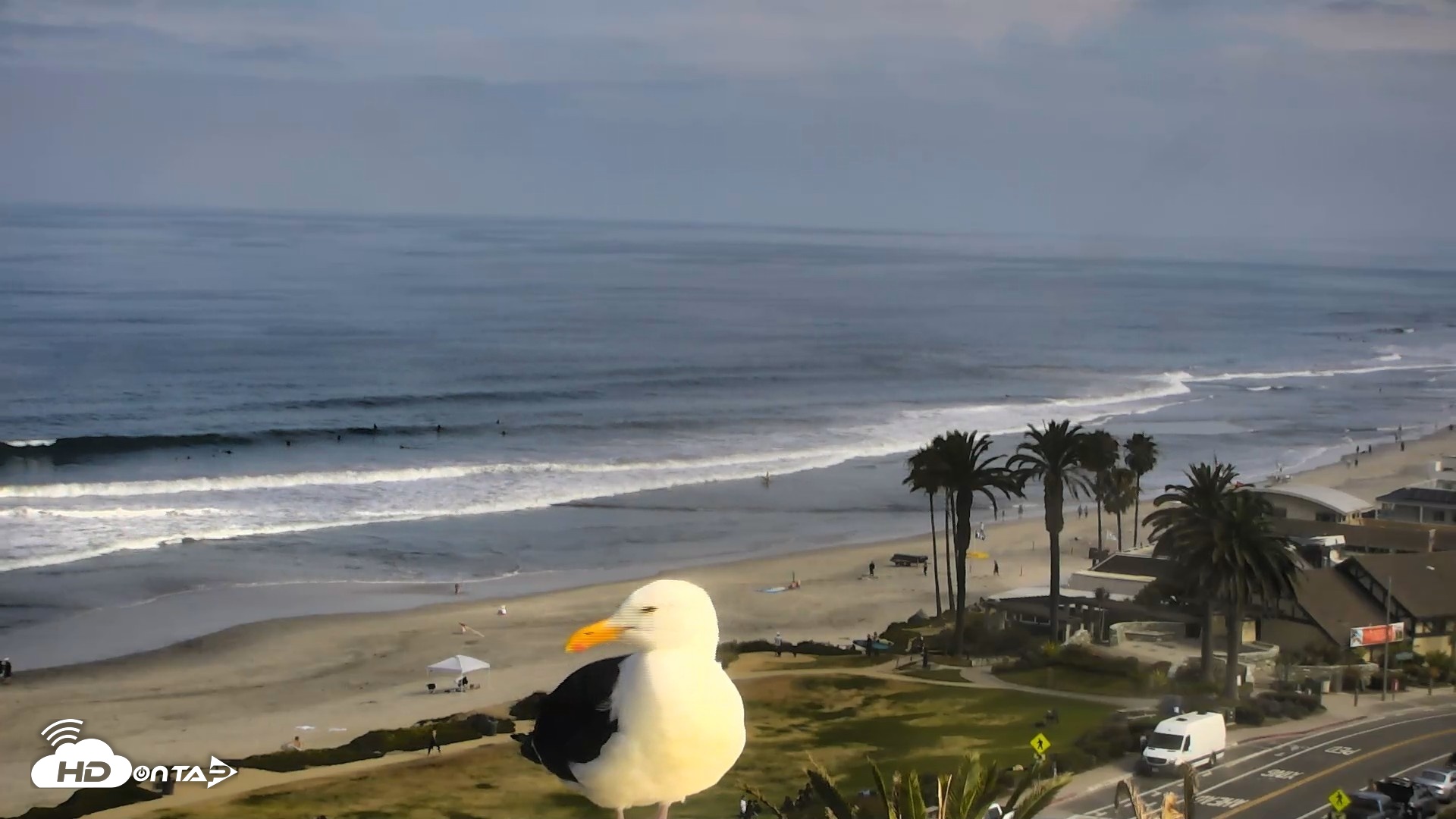 Snapshot of Del Mar Beach Overlook Roaming Live Webcam taken Jun 8, 2026, 9:04am PDT