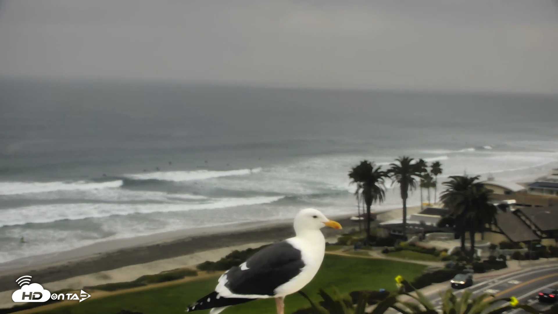 Snapshot of Del Mar Beach Overlook Roaming Live Webcam taken Dec 23, 2025, 9:02am PST