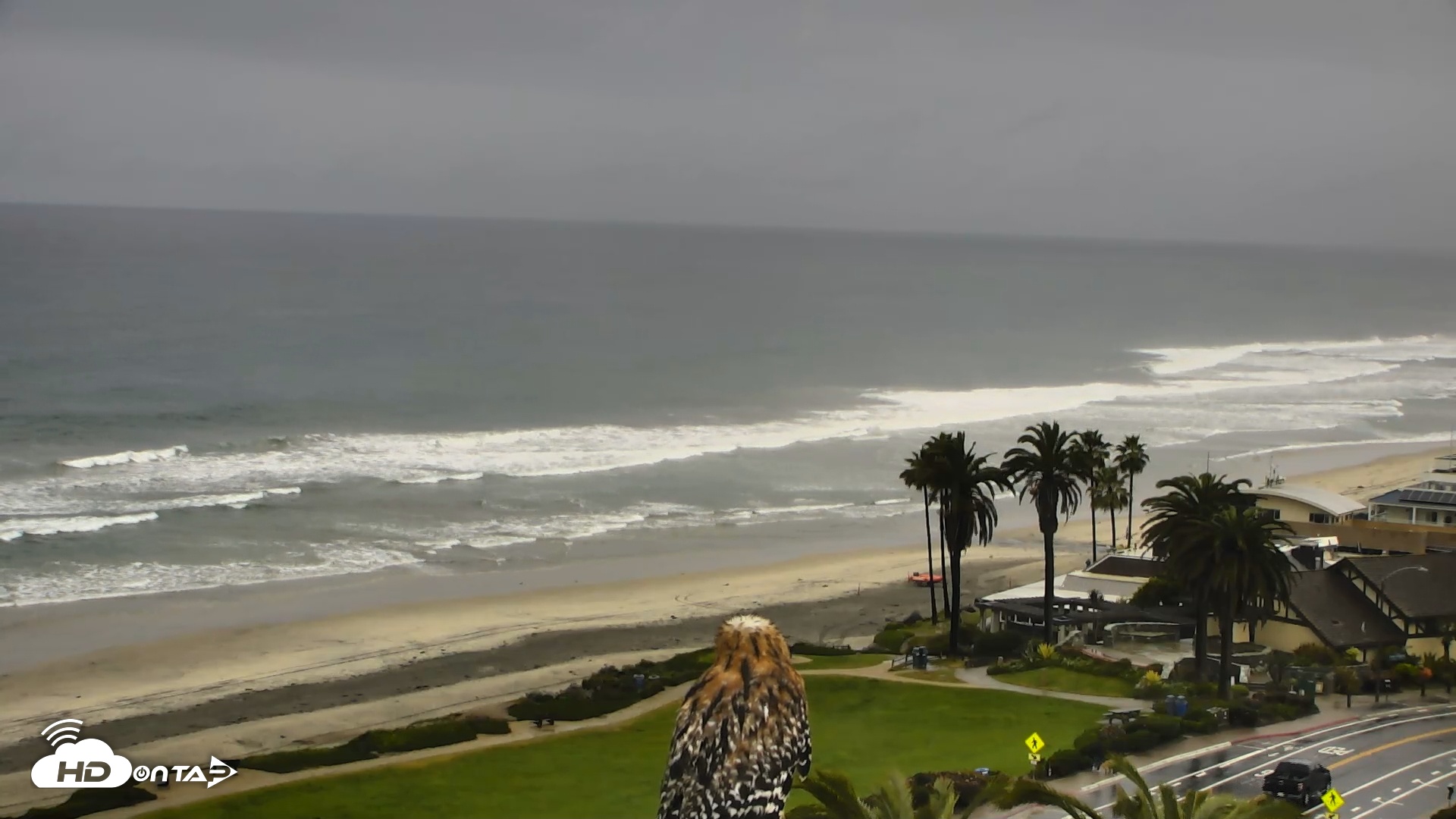Snapshot of Del Mar Beach Overlook Roaming Live Webcam taken Feb 11, 2026, 9:04am PST