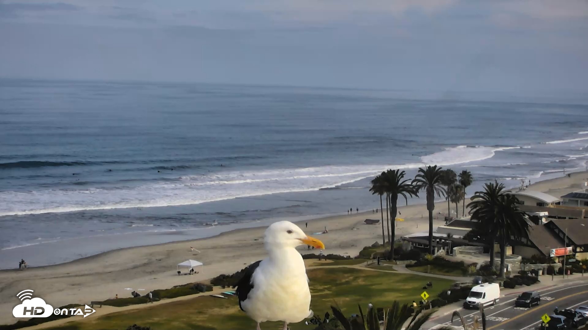 Snapshot of Del Mar Beach Overlook Roaming Live Webcam taken Jun 8, 2026, 9:03am PDT