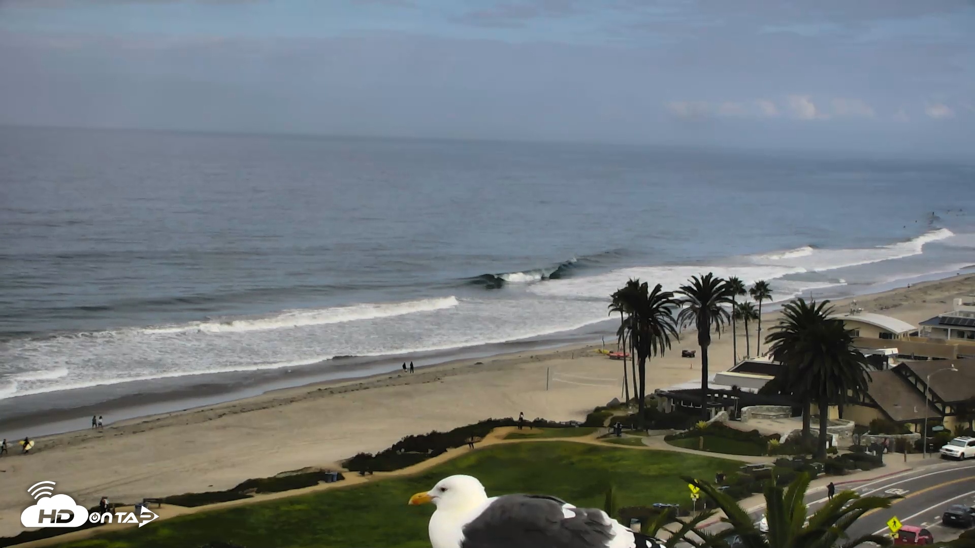 Snapshot of Del Mar Beach Overlook Roaming Live Webcam taken Sep 30, 2025, 9:12am PDT