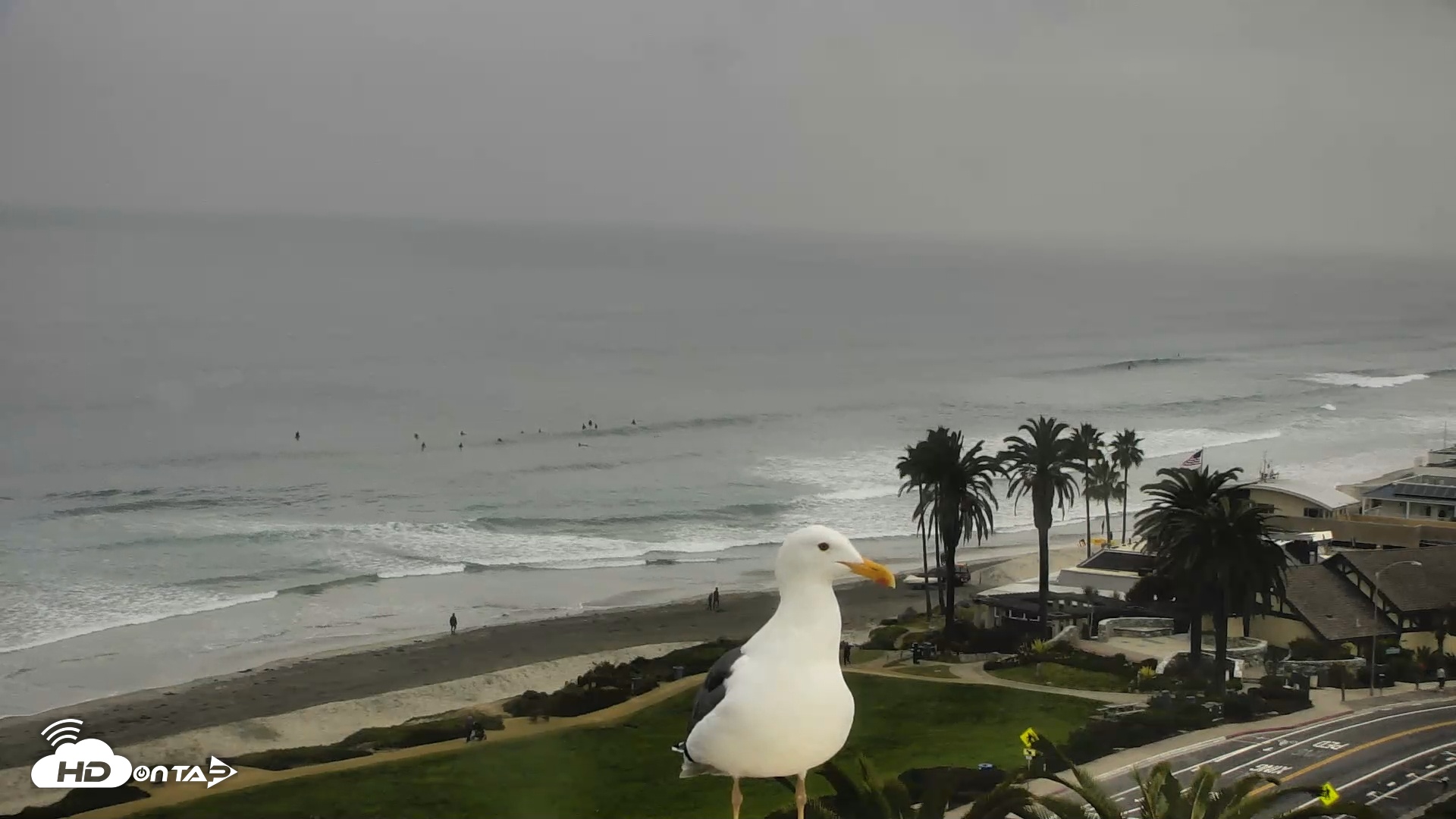 Snapshot of Del Mar Beach Overlook Roaming Live Webcam taken Dec 23, 2025, 8:52am PST