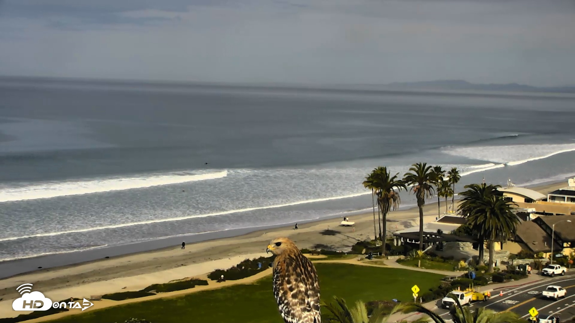Snapshot of Del Mar Beach Overlook Roaming Live Webcam taken Feb 5, 2026, 9:08am PST