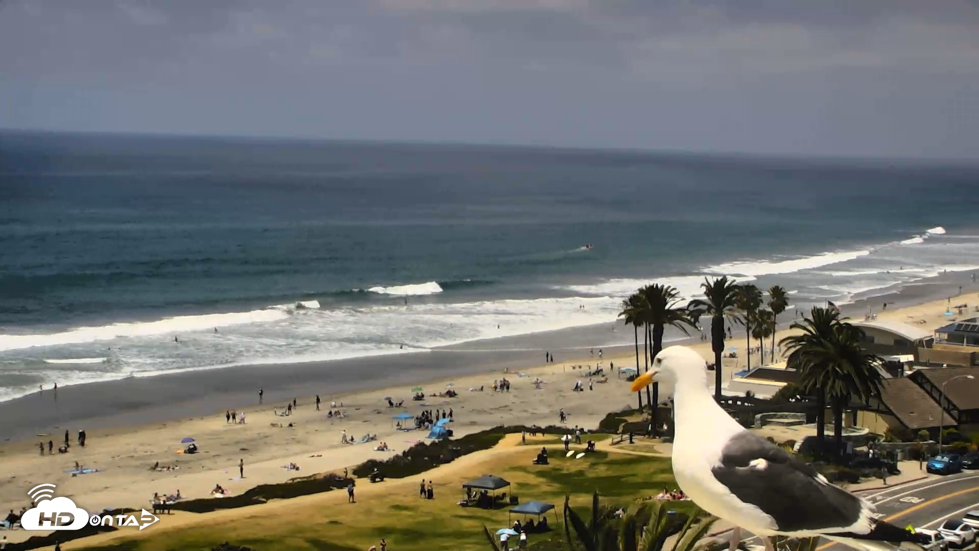 Snapshot of Del Mar Beach Overlook Roaming Live Webcam taken May 22, 2026, 1:17pm PDT