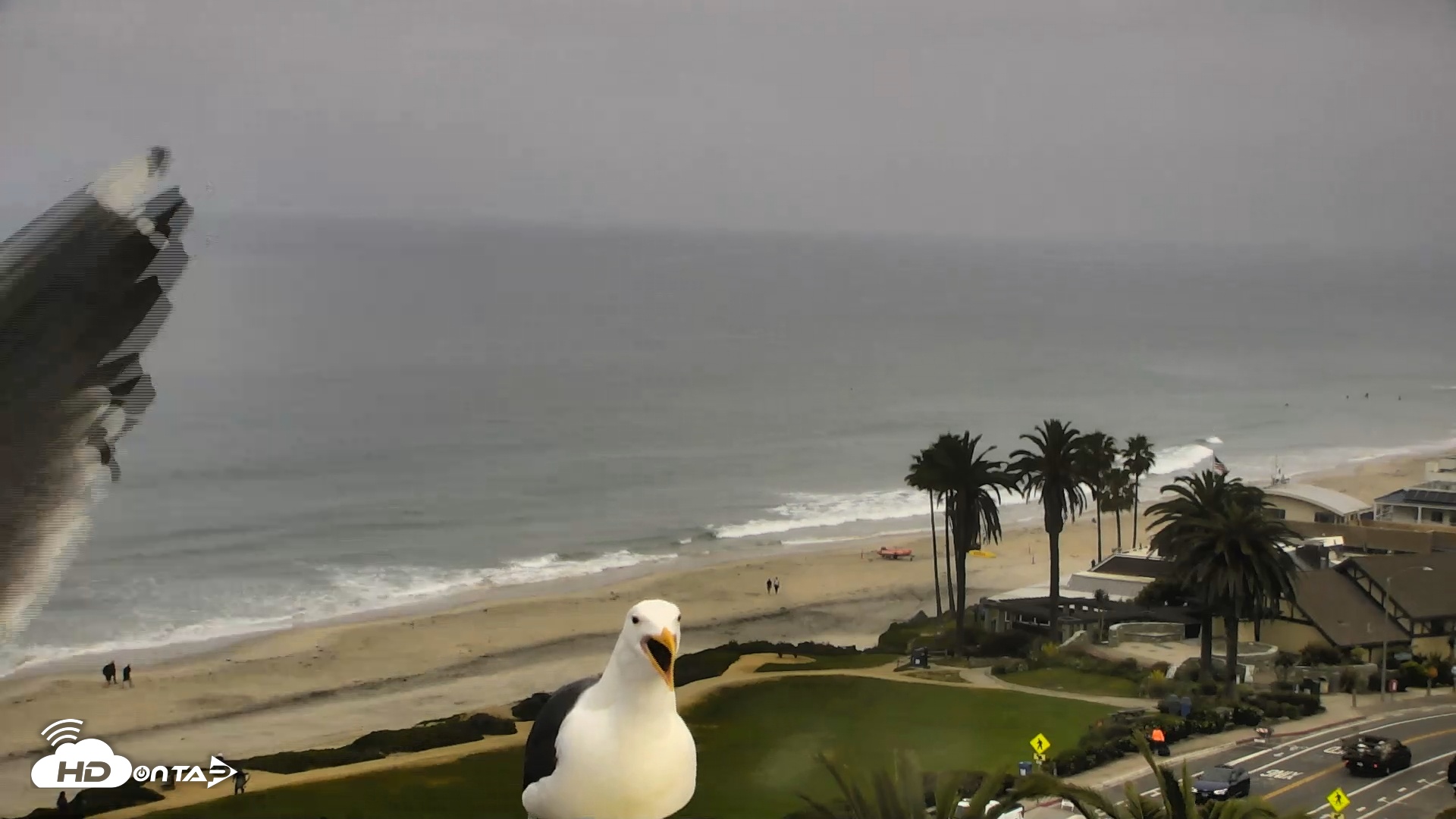 Snapshot of Del Mar Beach Overlook Roaming Live Webcam taken Mar 30, 2026, 9:11am PDT