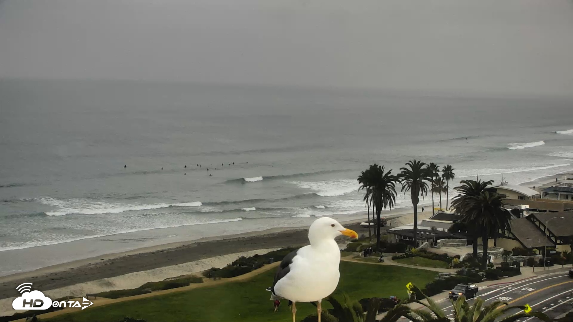 Snapshot of Del Mar Beach Overlook Roaming Live Webcam taken Dec 23, 2025, 8:54am PST