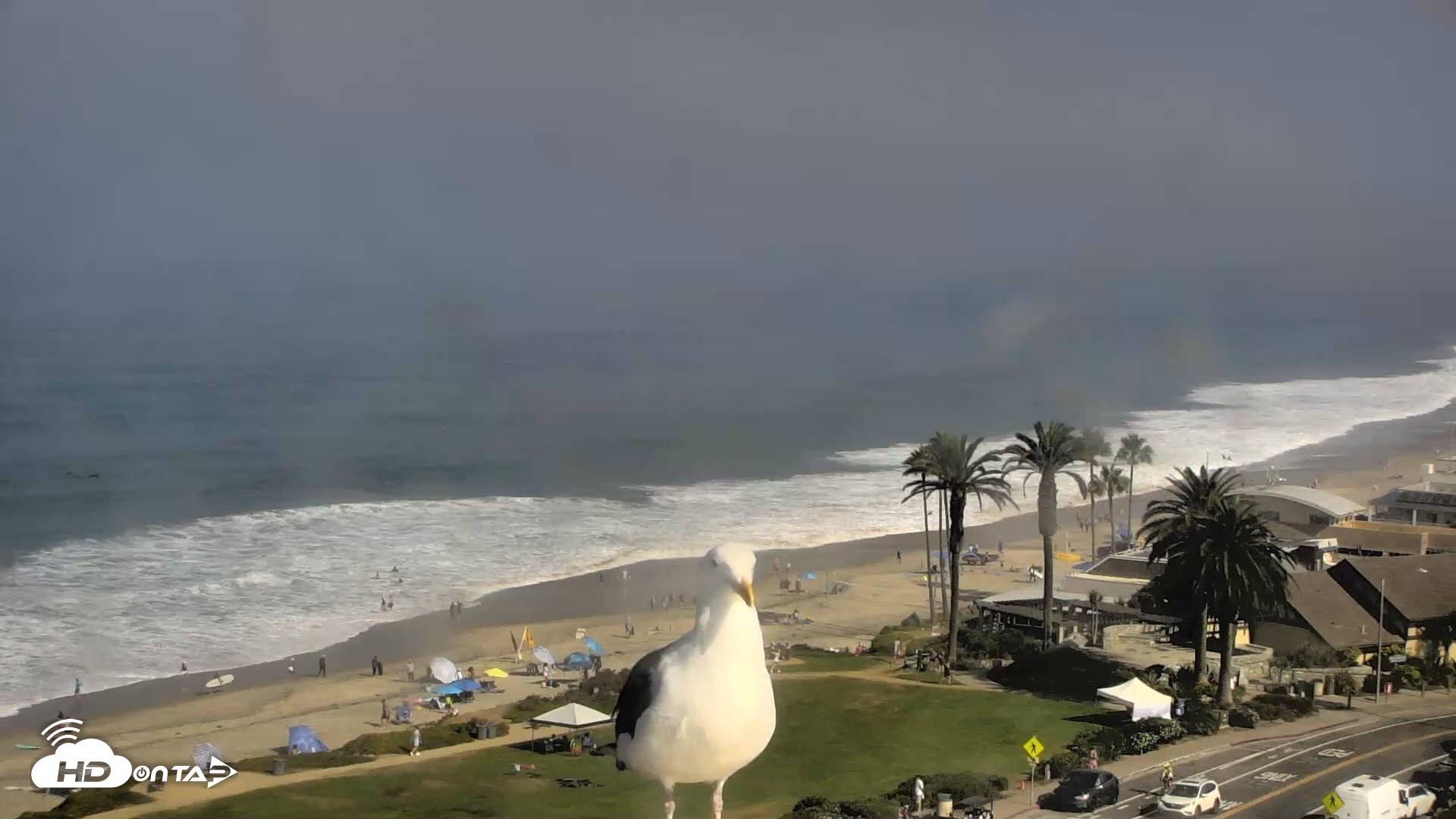 Snapshot of Del Mar Beach Overlook Roaming Live Webcam taken Aug 29, 2026, 9:28am PDT