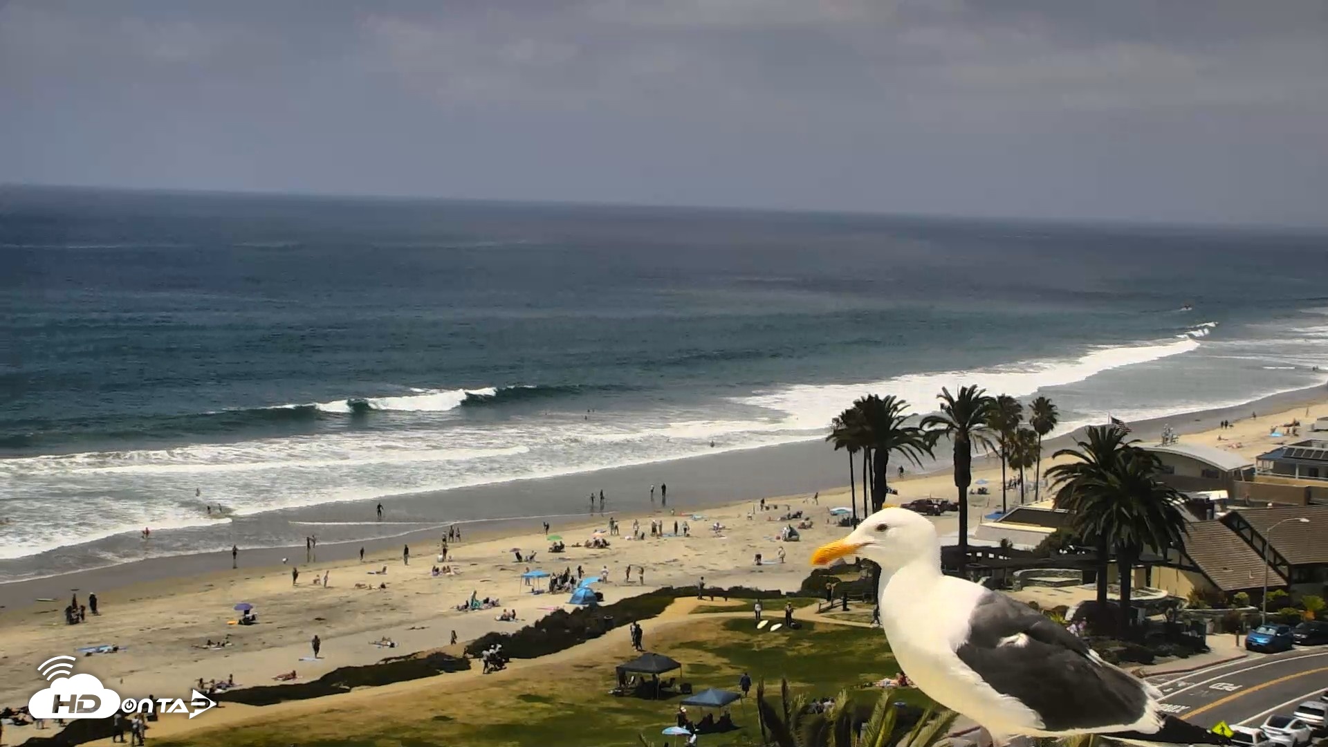 Snapshot of Del Mar Beach Overlook Roaming Live Webcam taken May 22, 2026, 1:18pm PDT